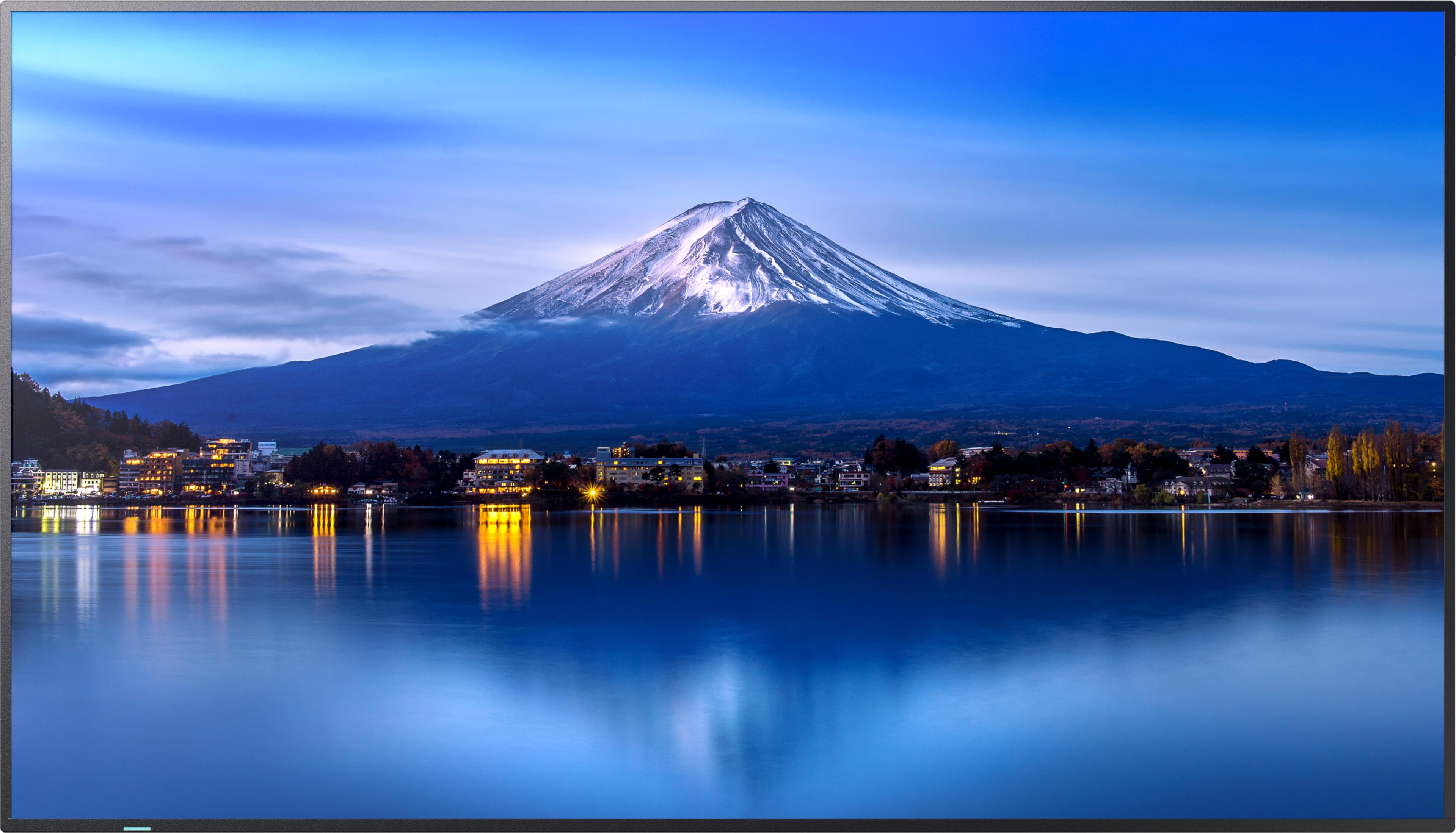 Sharp MultiSync P436 Display