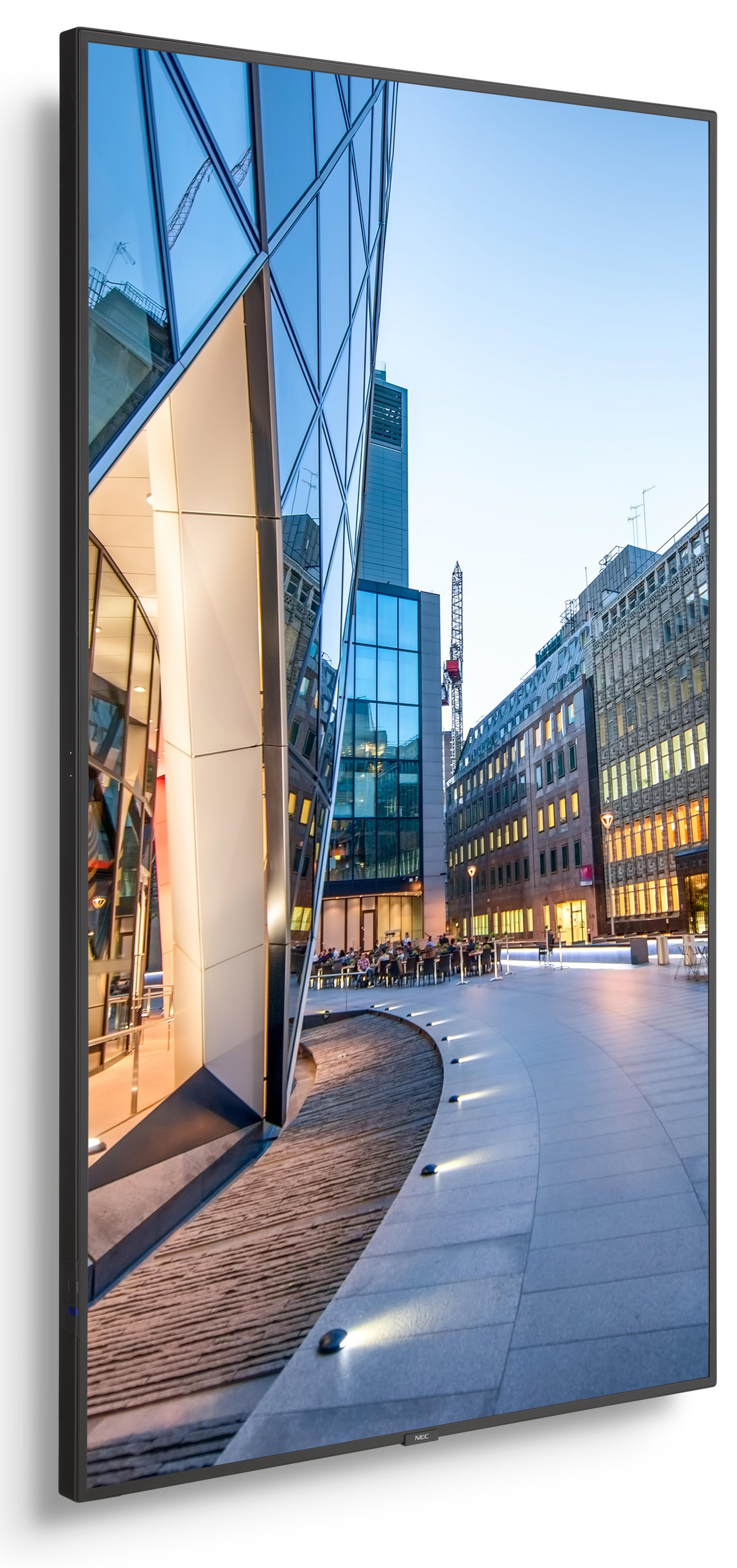 NEC MultiSync C651Q Monitor