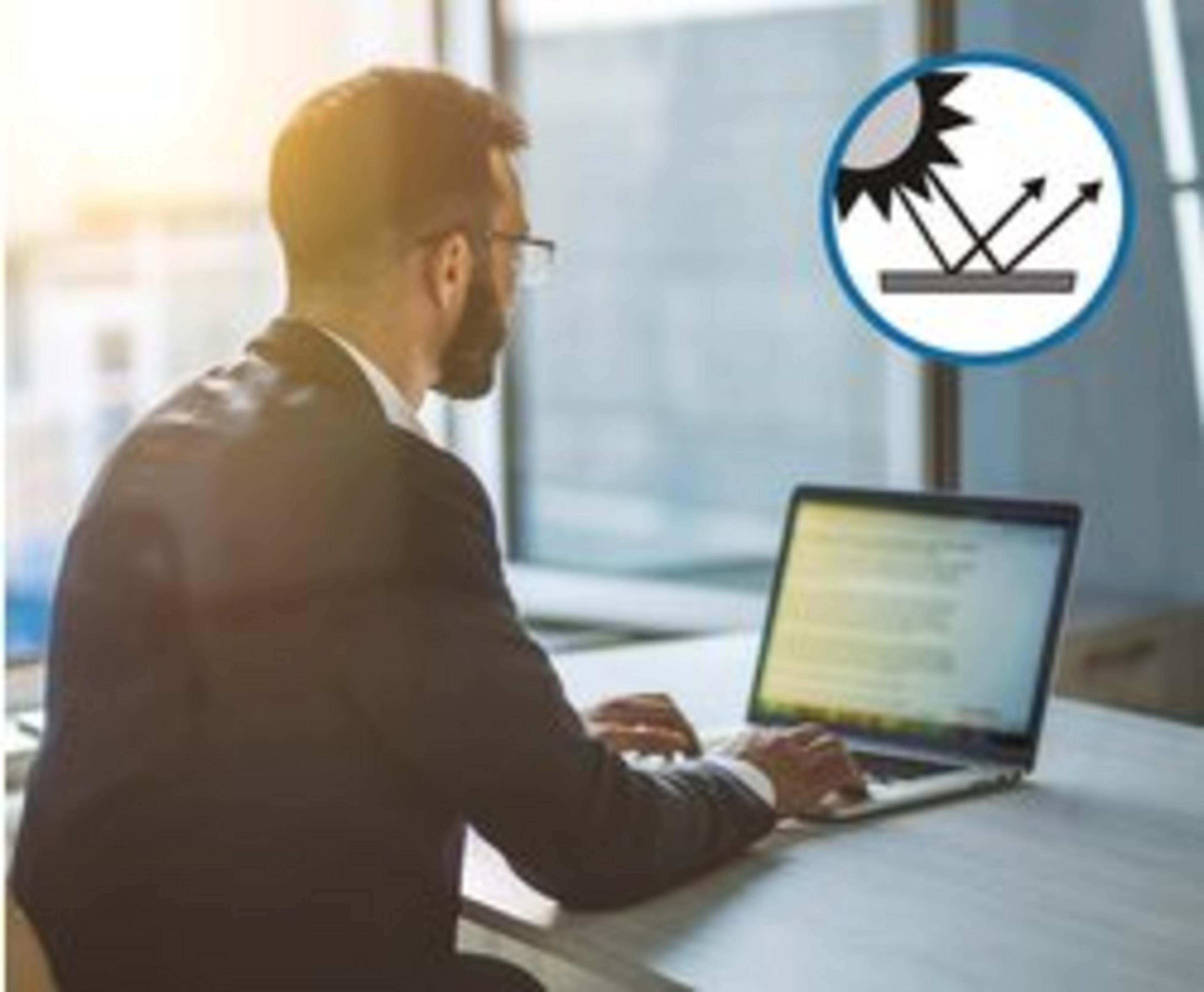 Kensington 13.3 Blickschutz 25 Stk