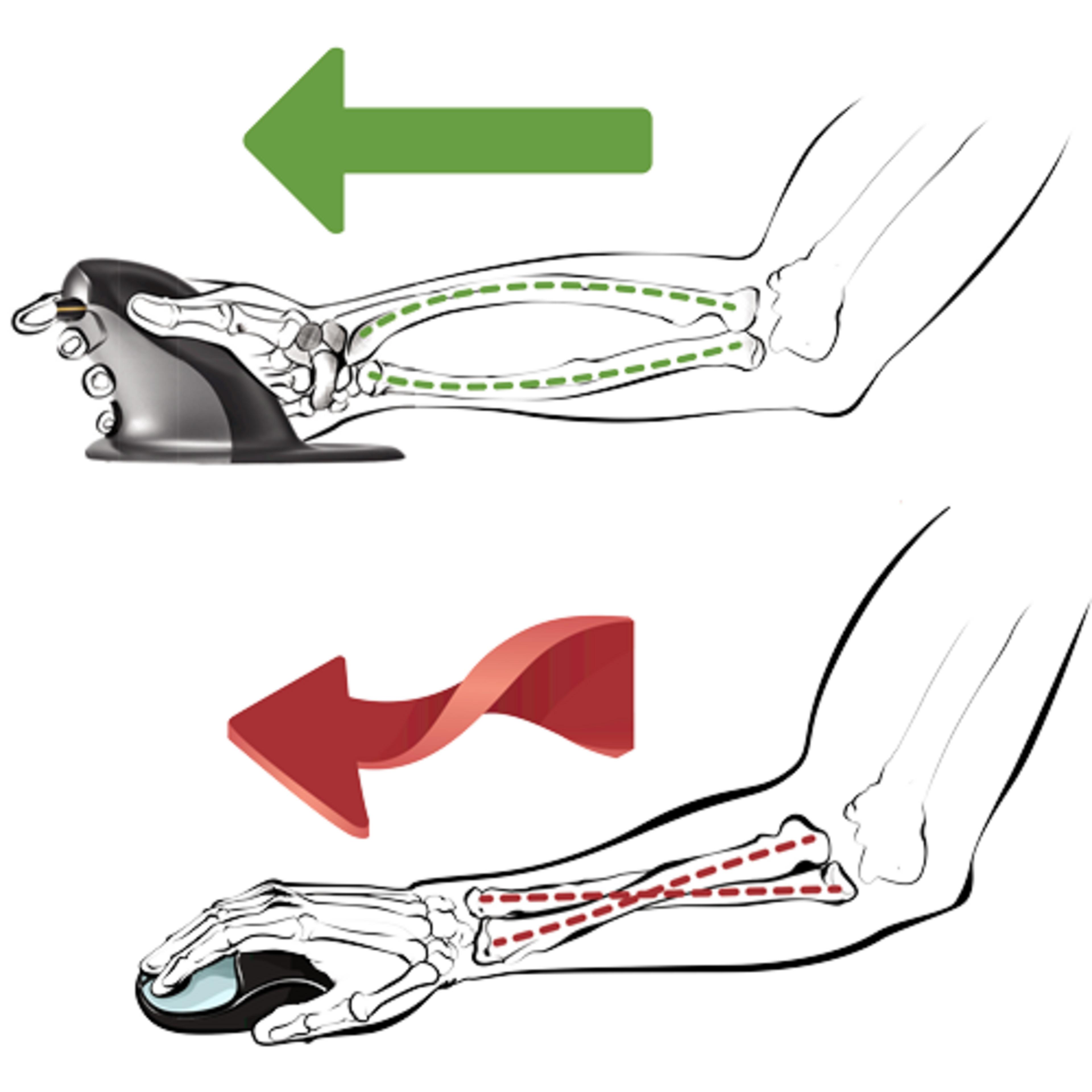 Fellowes Penguin Vertical Mouse Size L