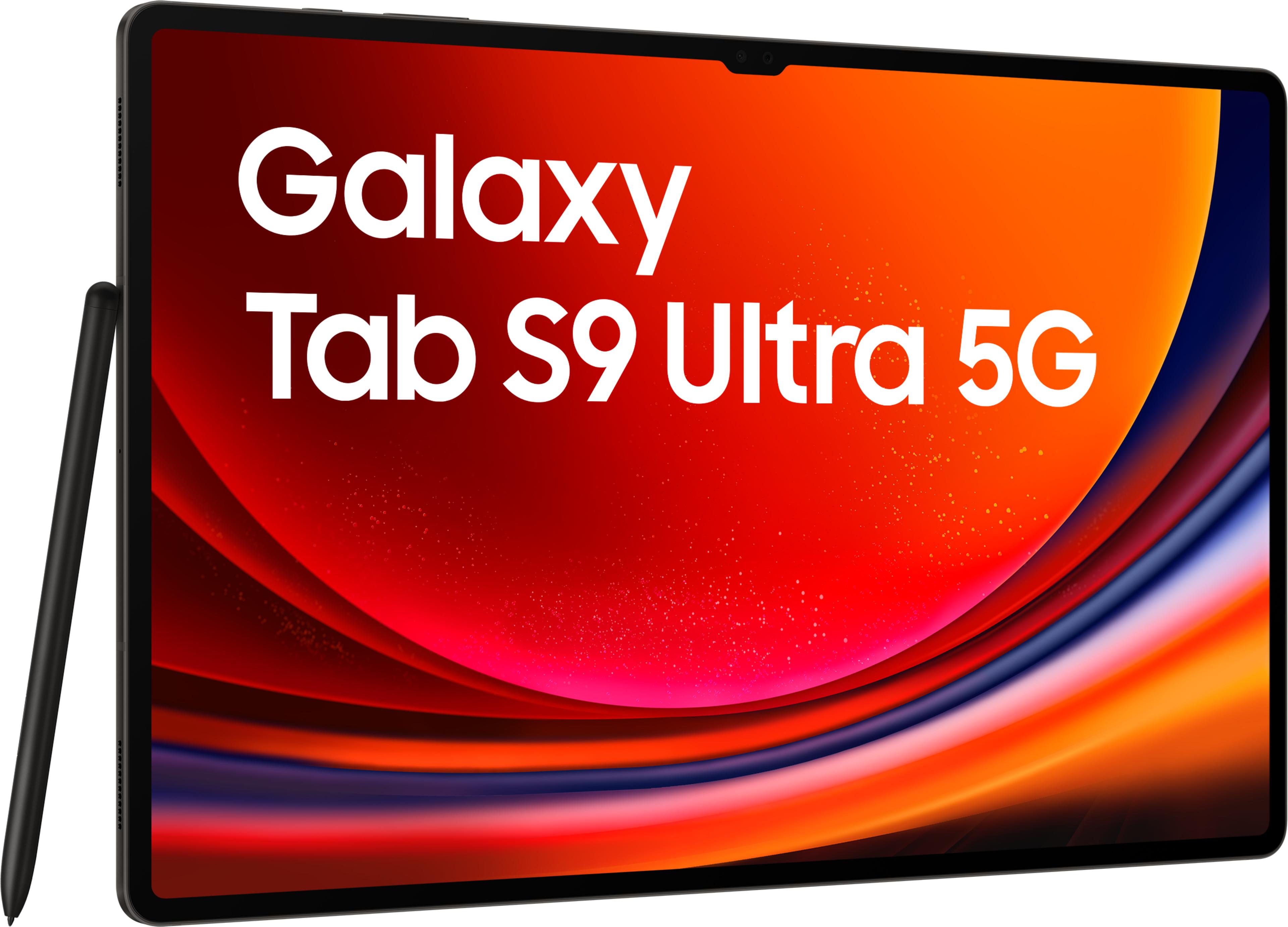 Samsung Galaxy Tab S9 Ultra 5G 256GB Gra
