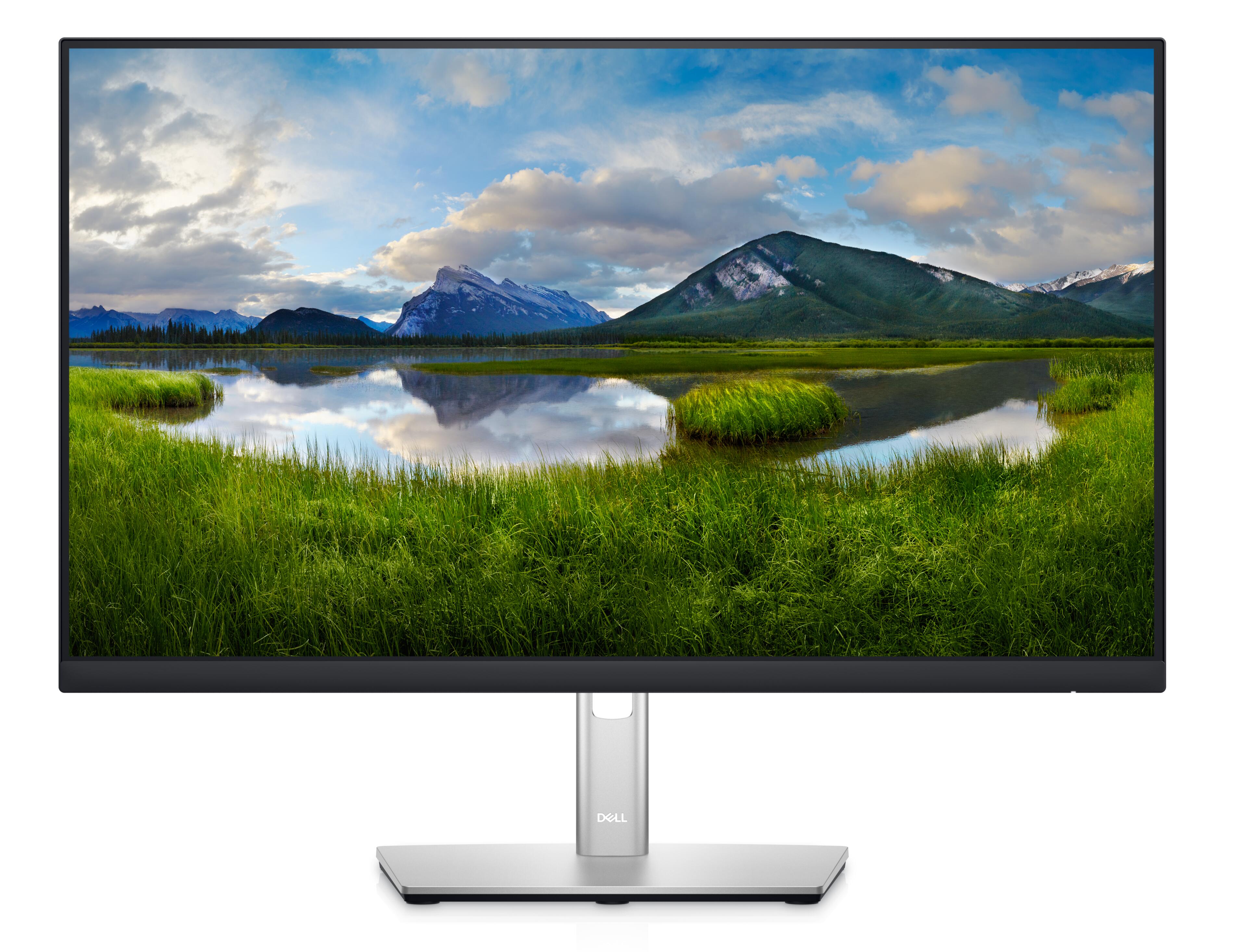 Dell Professional P2422HE Monitor