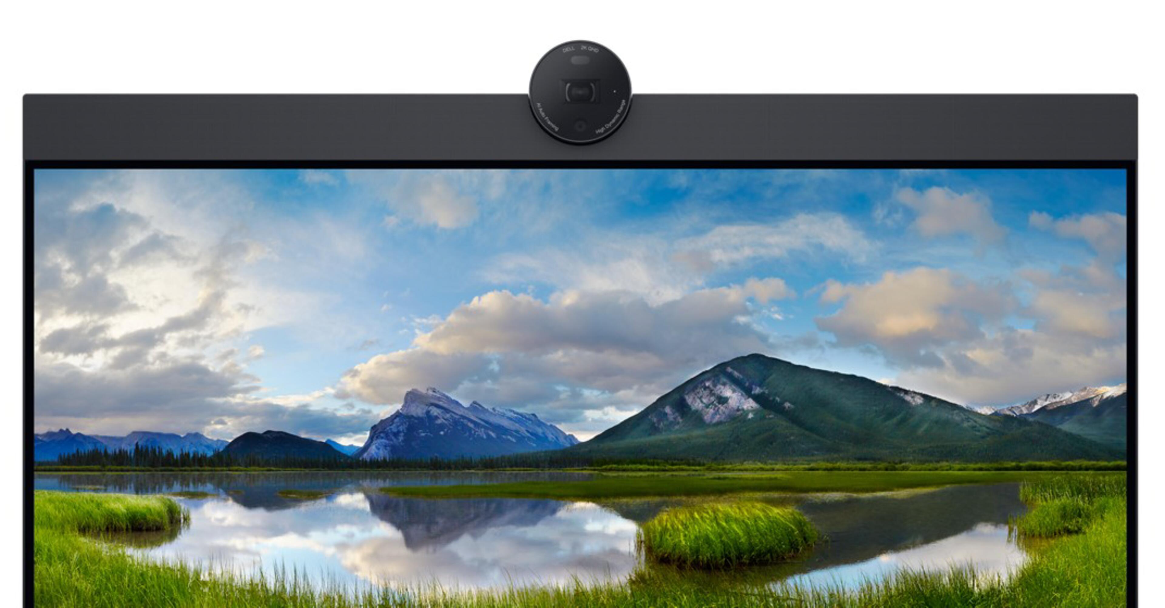 Dell P2424HEB Video Conference Monitor