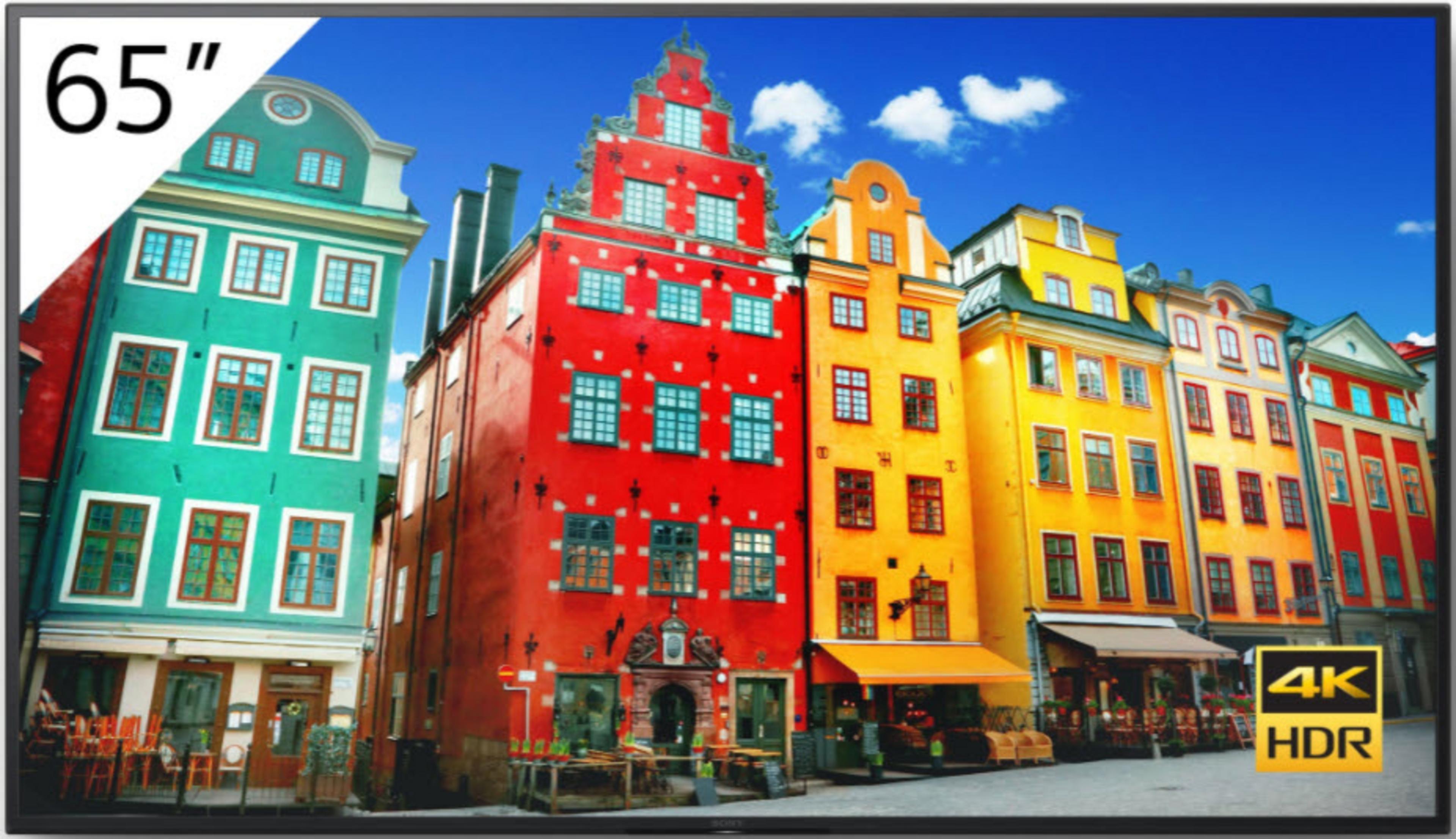 Pantalla Sony Bravia FW-65BZ30J