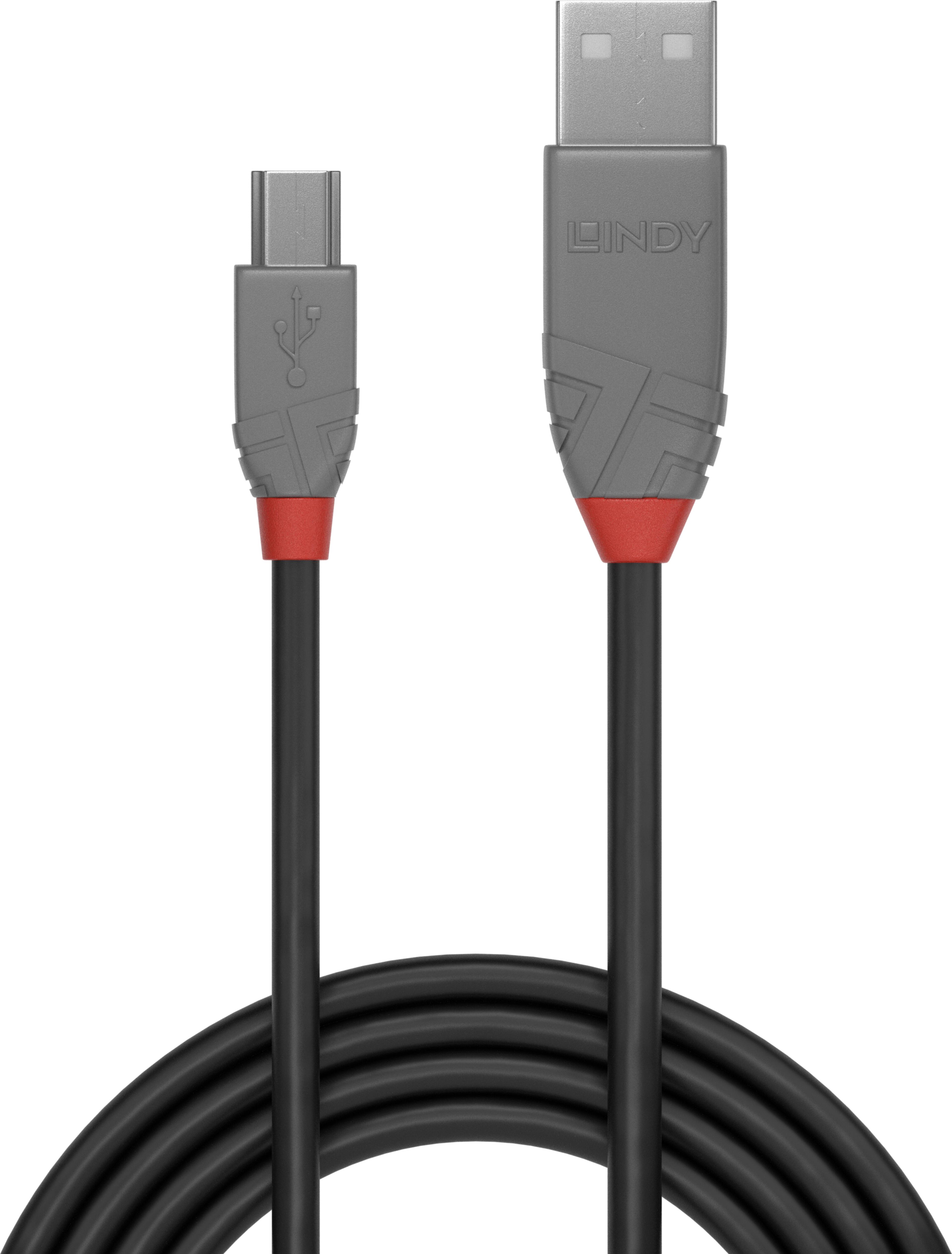 LINDY USB Typ A - Mini-B Kabel 2 m