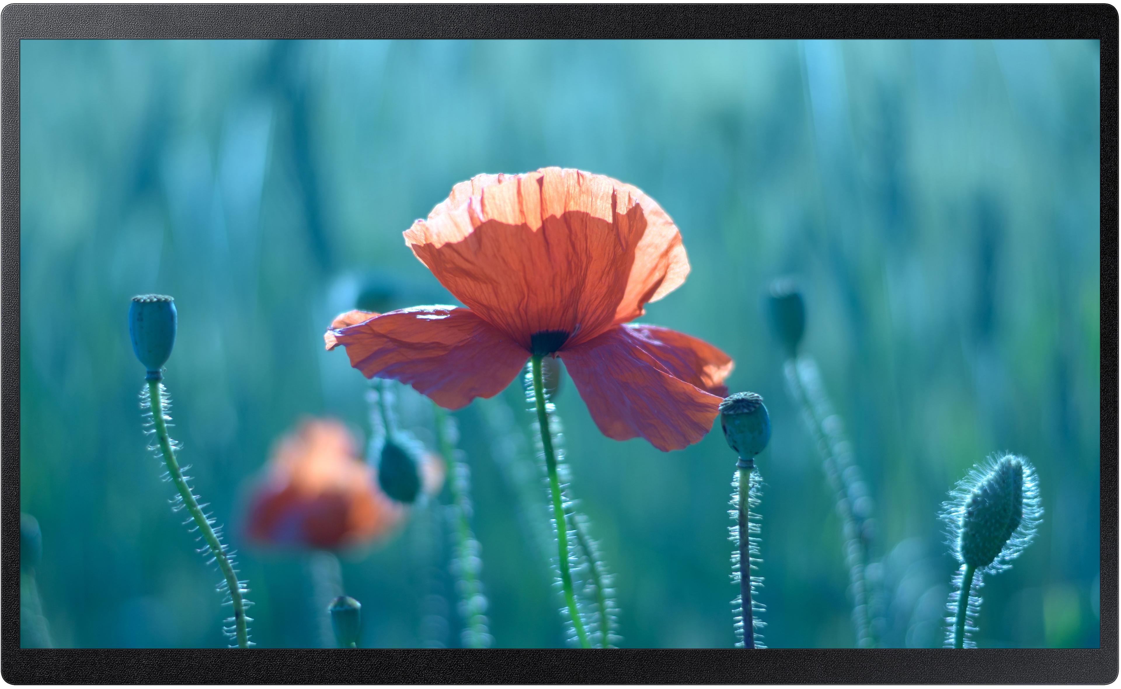 Samsung QB24R-B Smart Signage Monitor