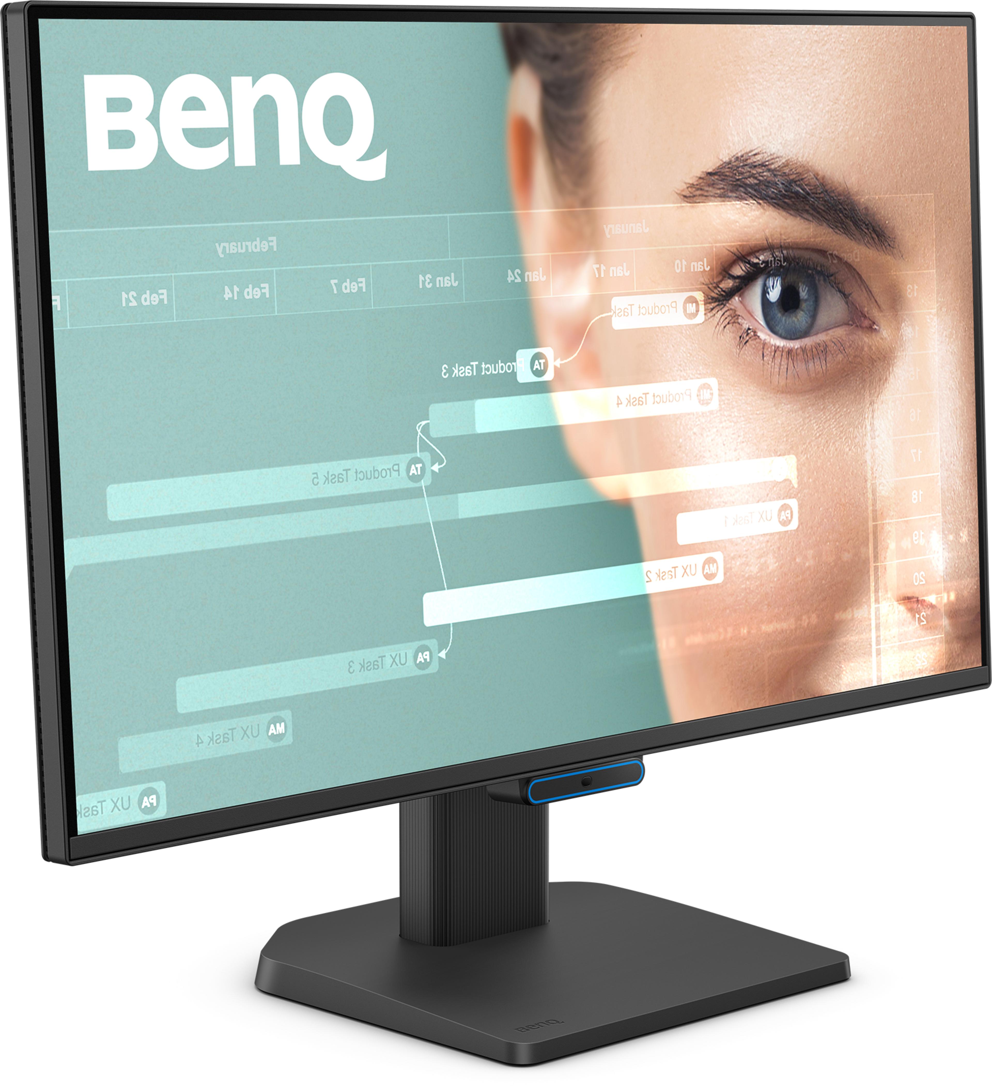 Écran BenQ BL2490C