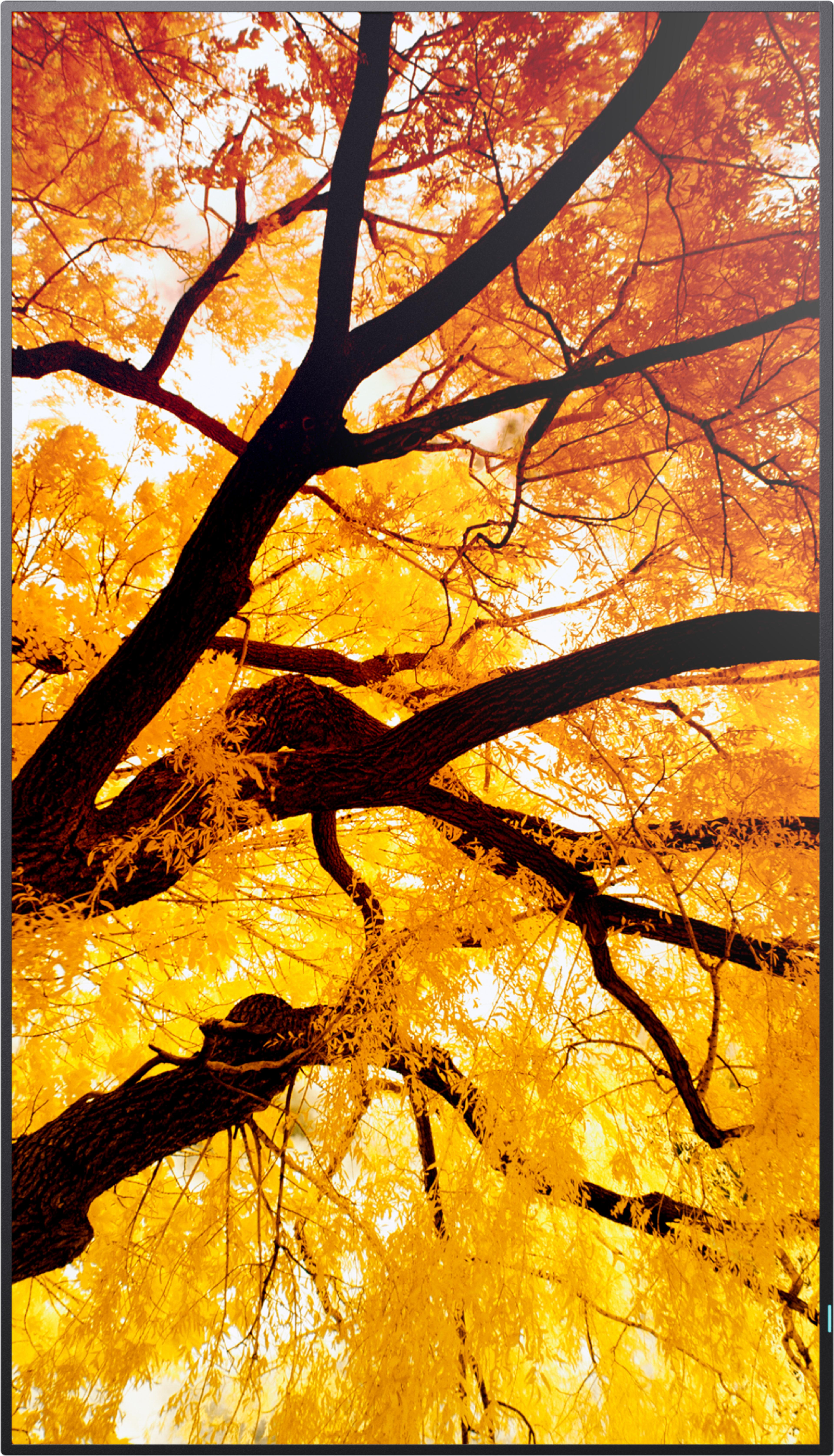 Sharp MultiSync M502 Display