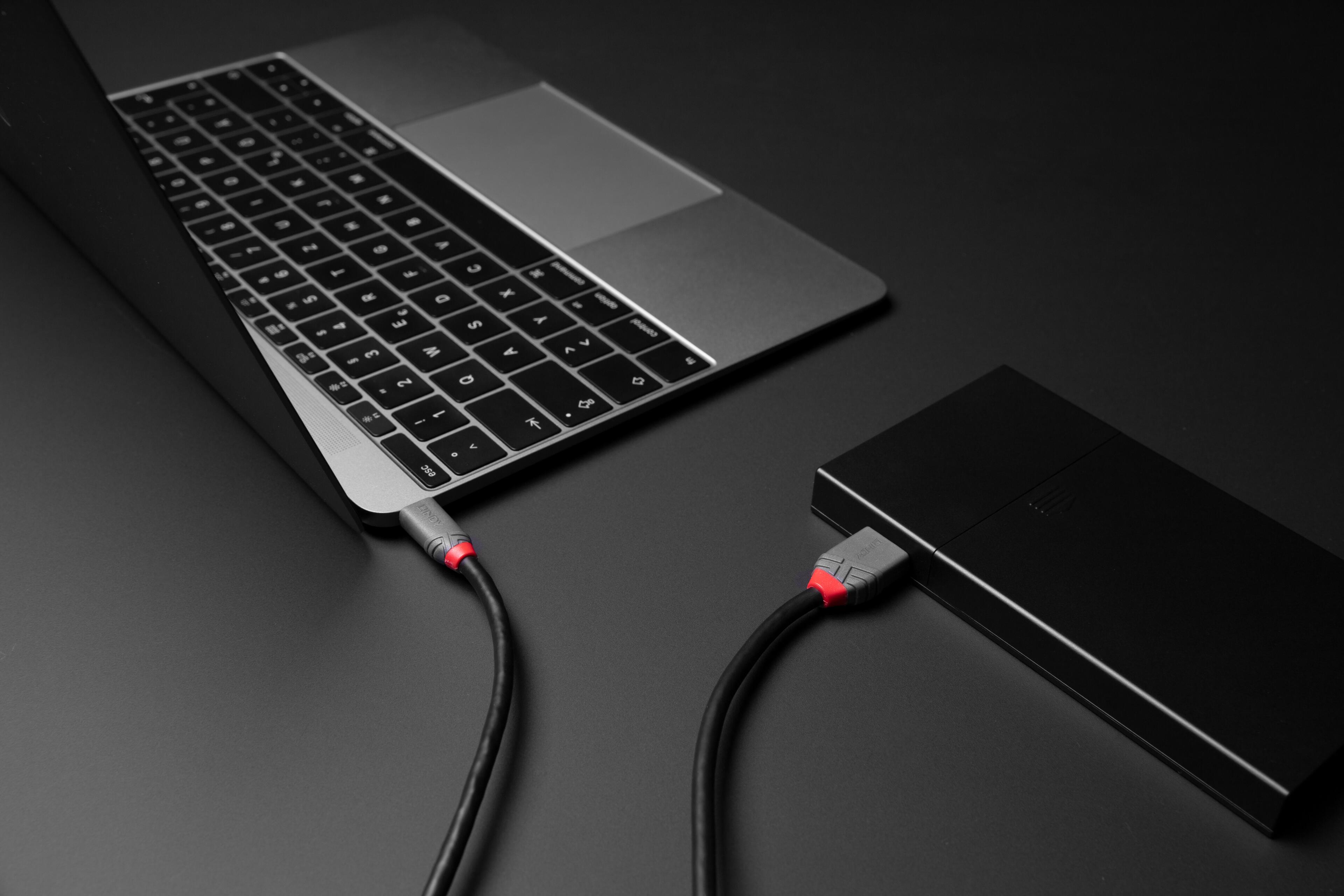 Câble LINDY USB type C - micro-B 0,5 m