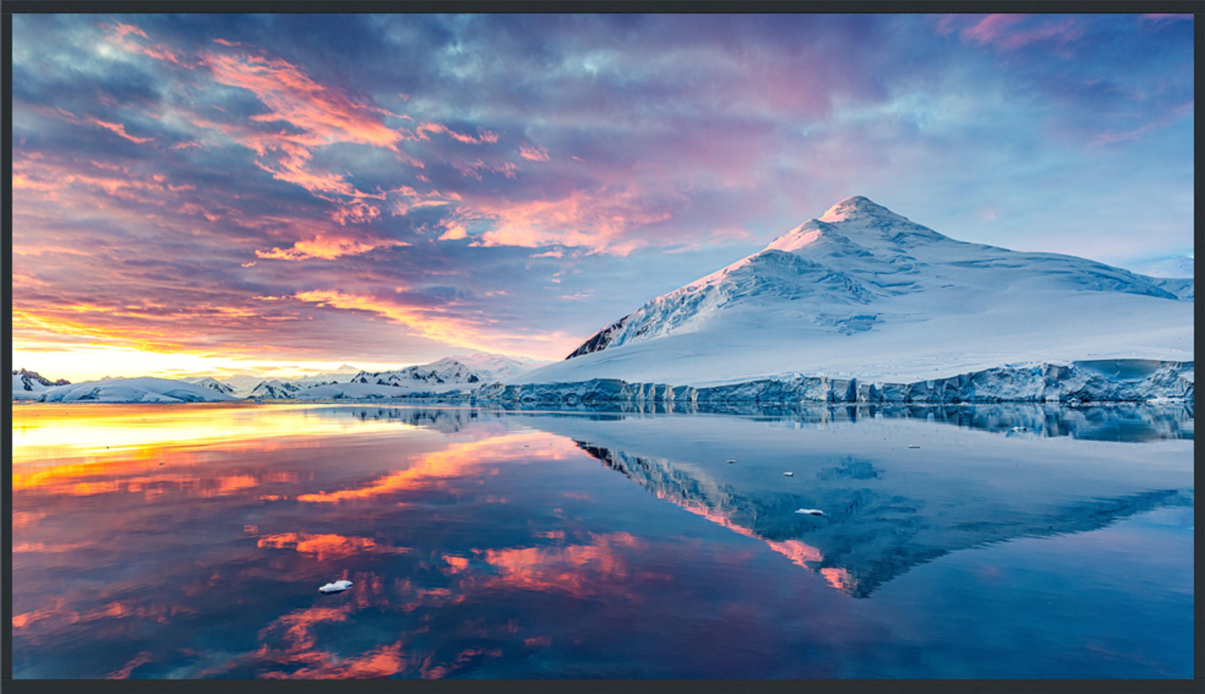 Panasonic TH-55EQ3W Display