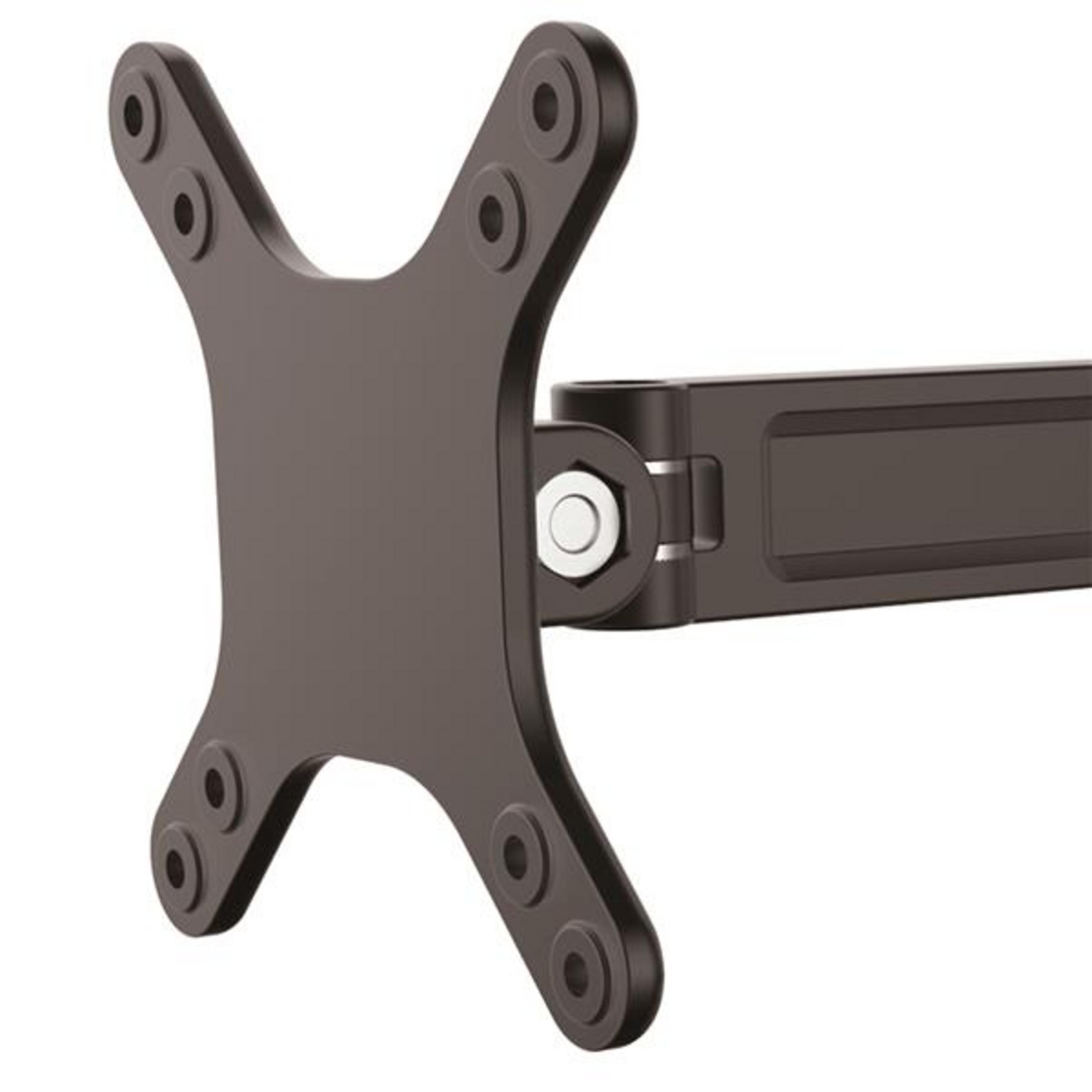 StarTech Monitor Mount
