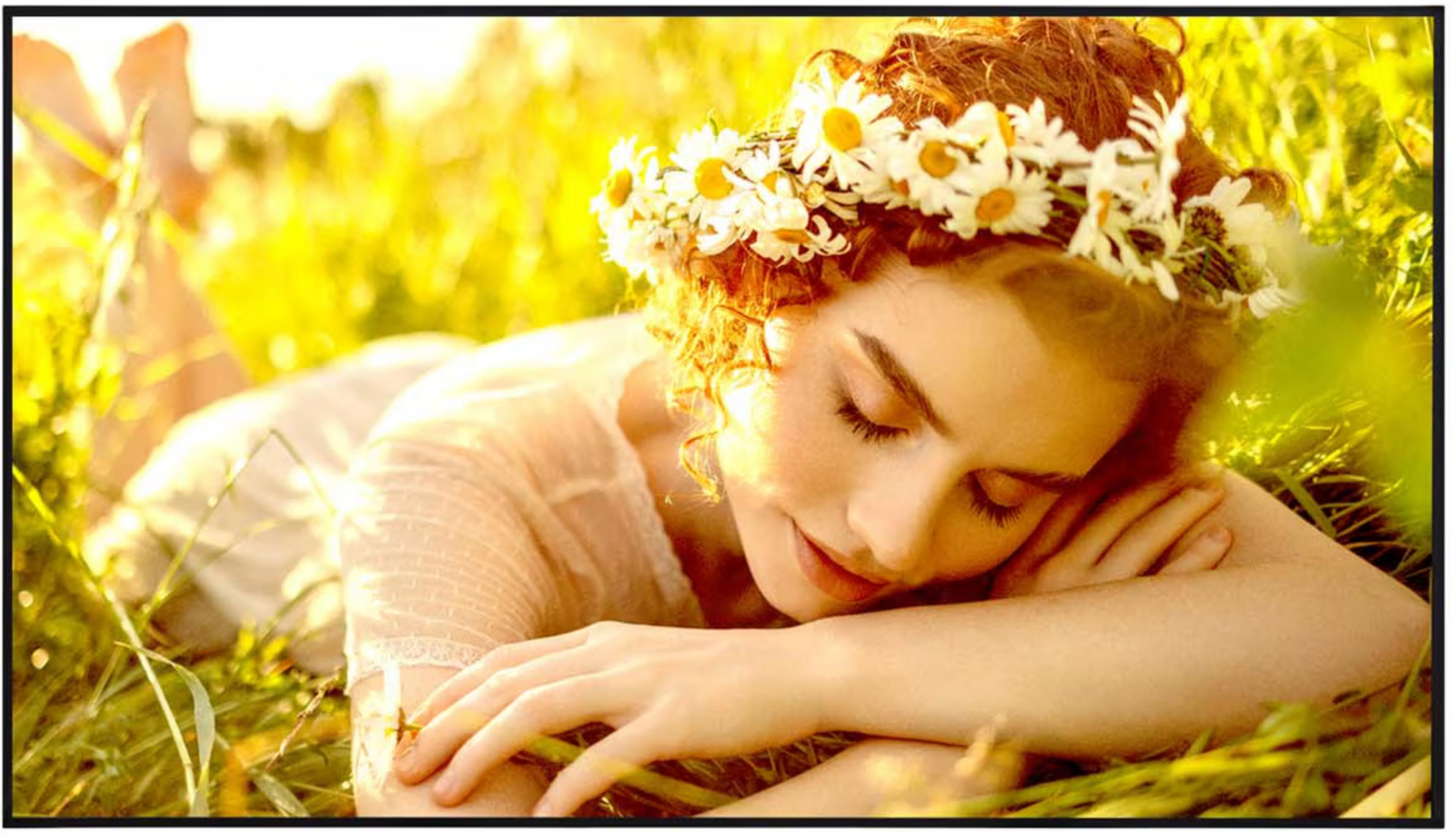 Écran Signage LG 75UL5Q-E