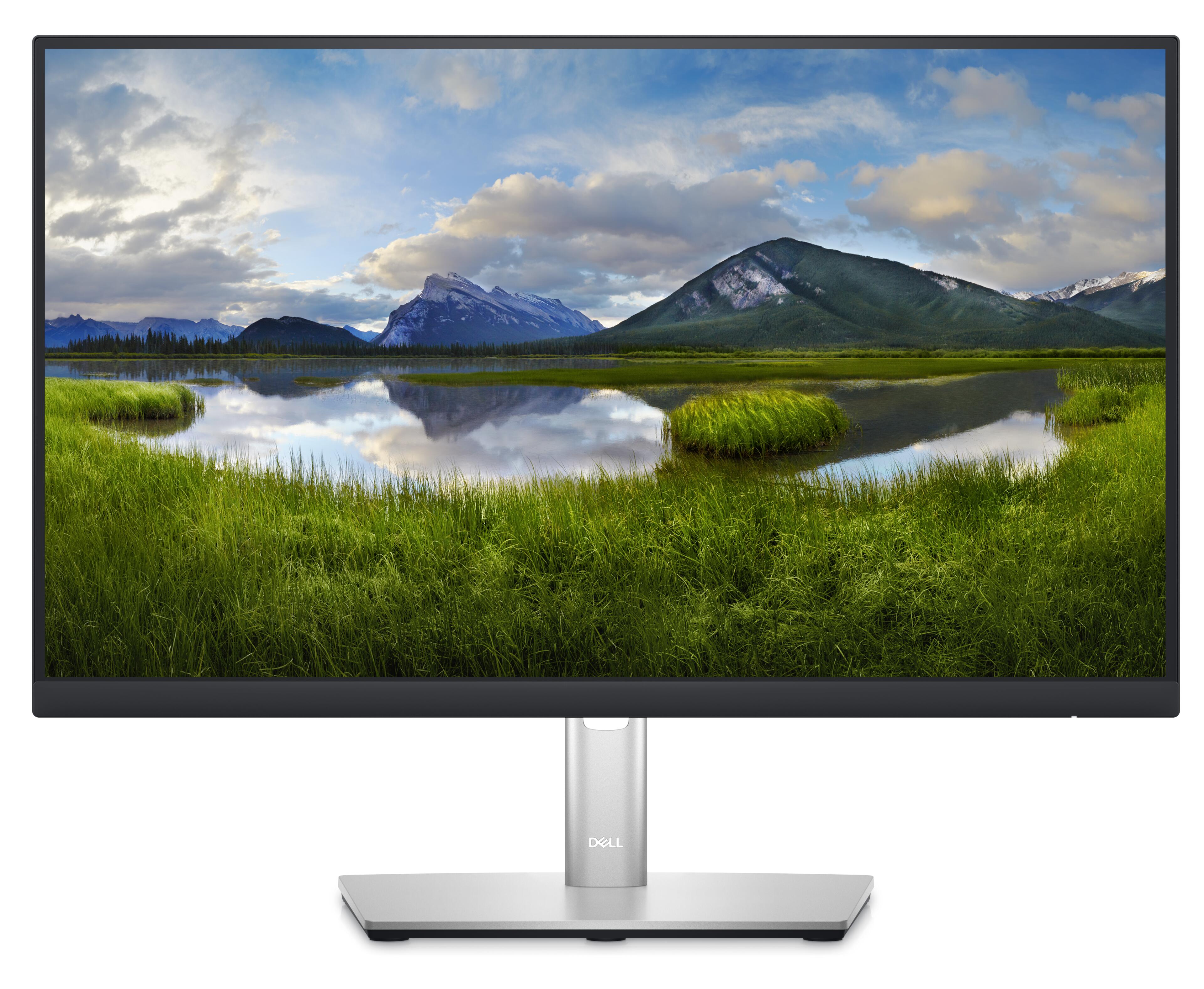 Dell Professional P2223HC Monitor