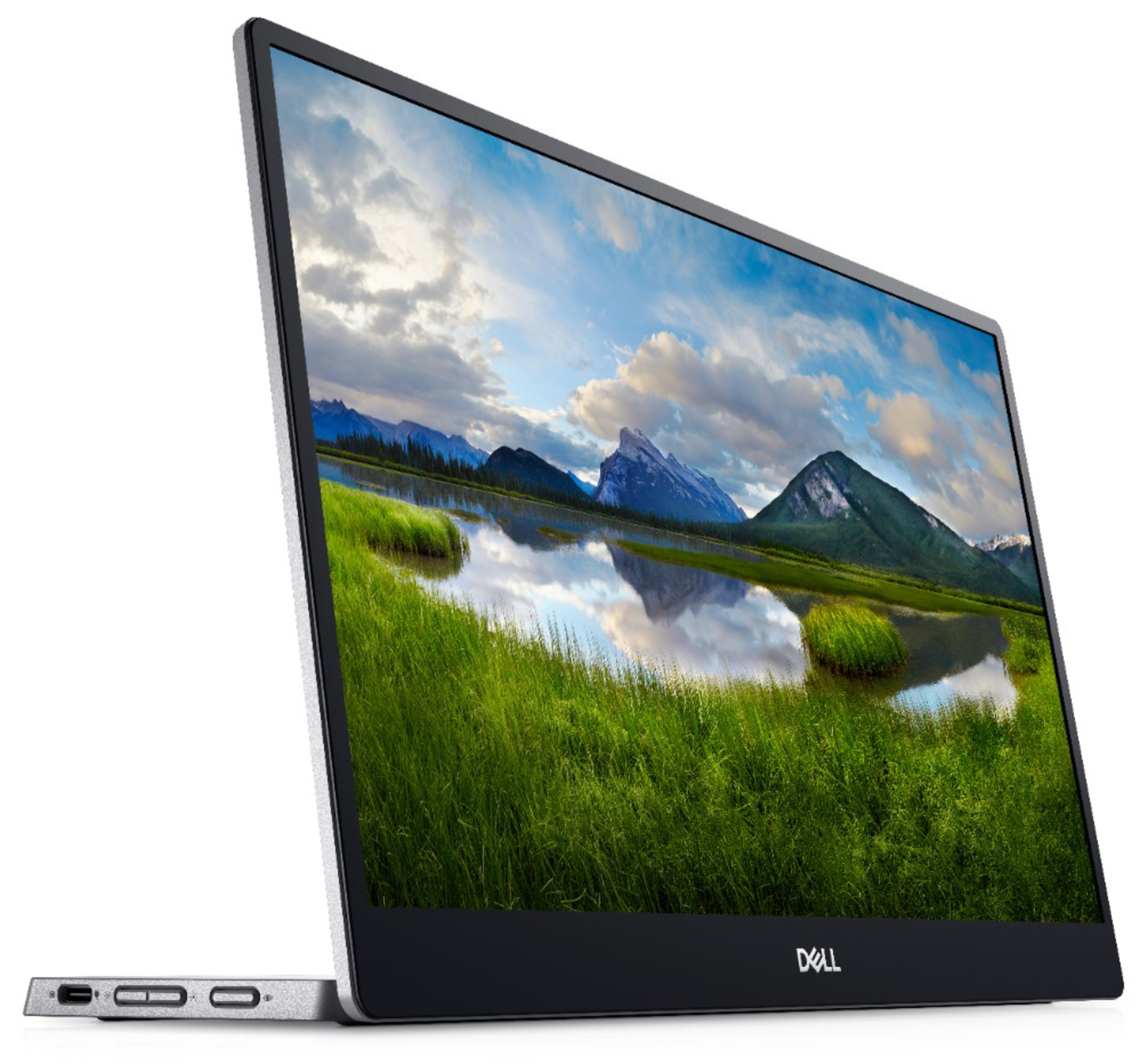 Écran portable Dell P1424H