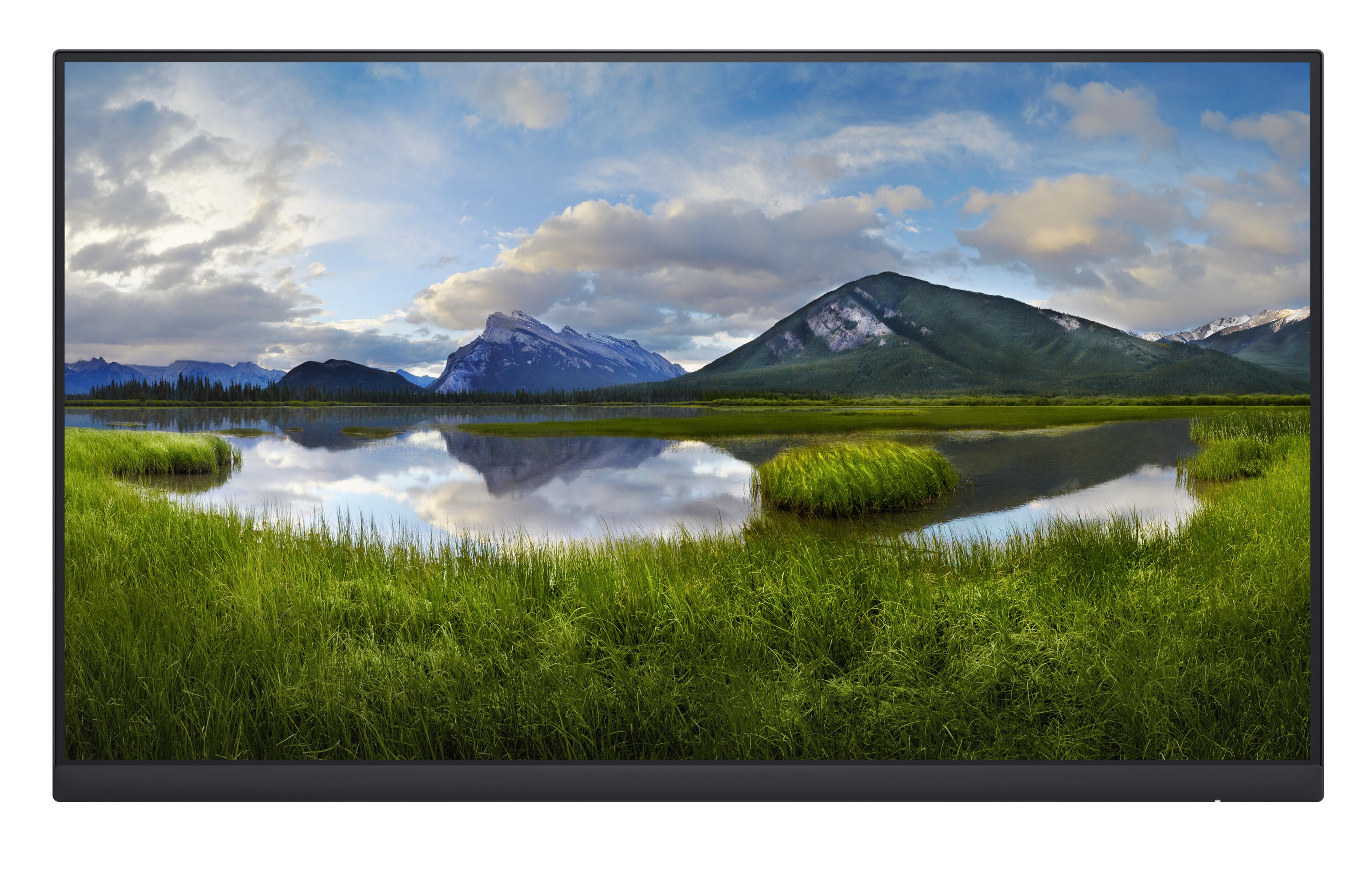 Monitor s/ base Dell Professional P2422H