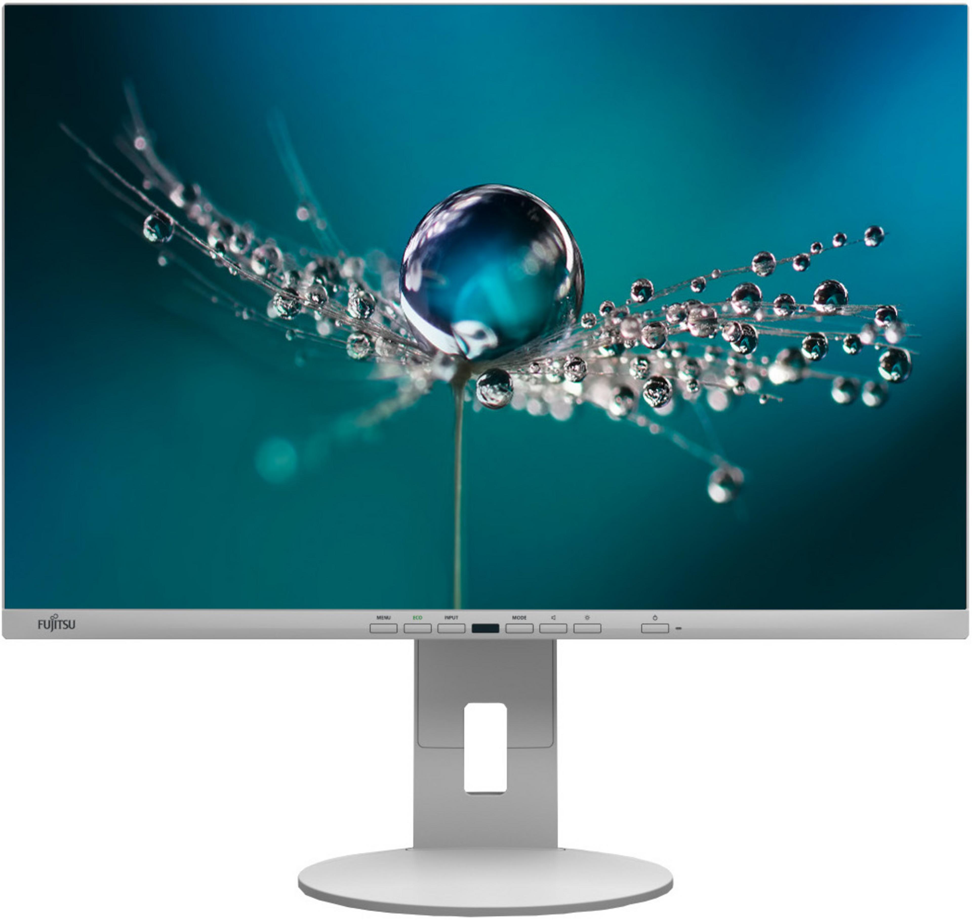 Fujitsu B2410 WE, EU Monitor