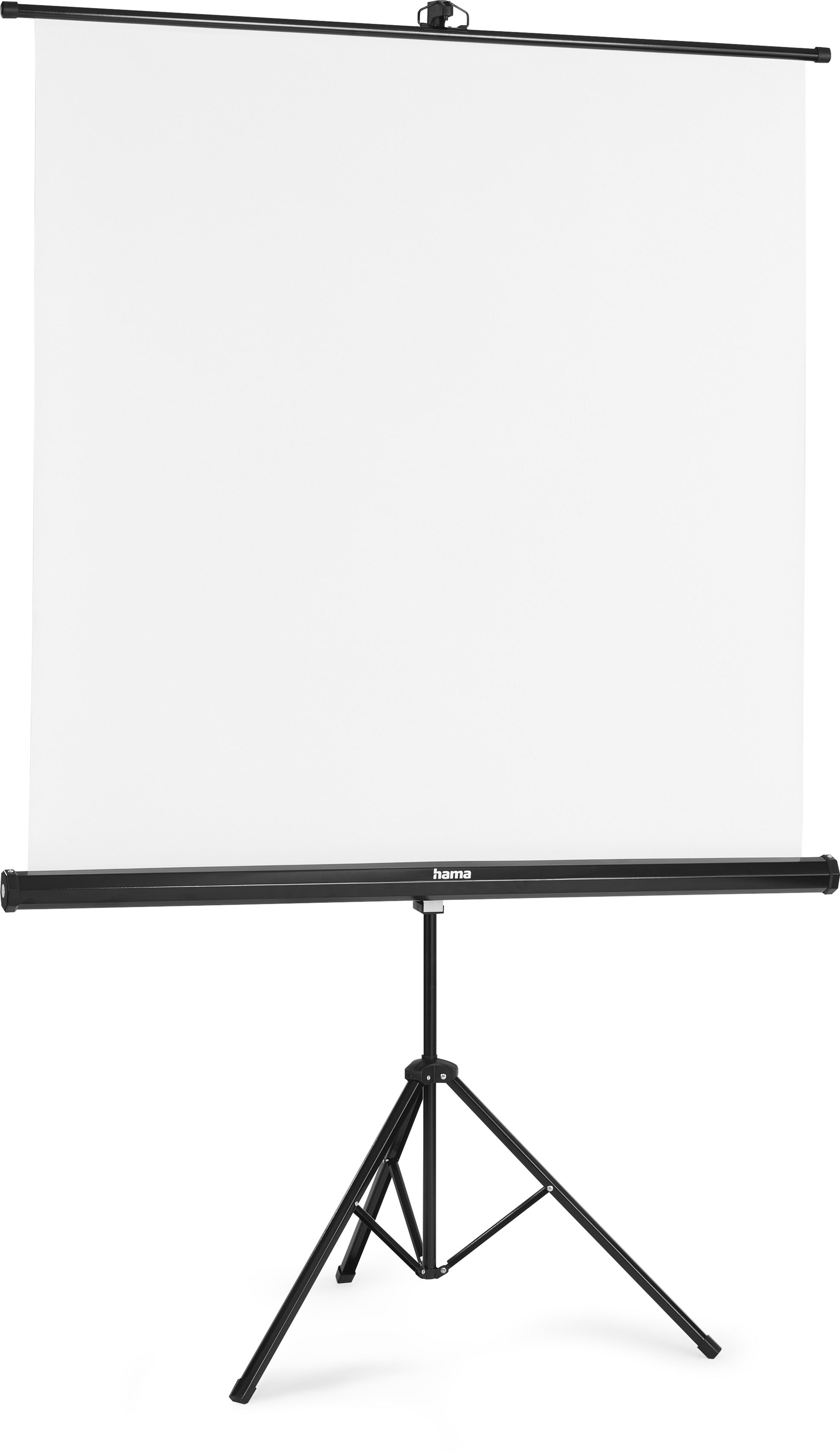 Toile de projection Hama 125x125 cm