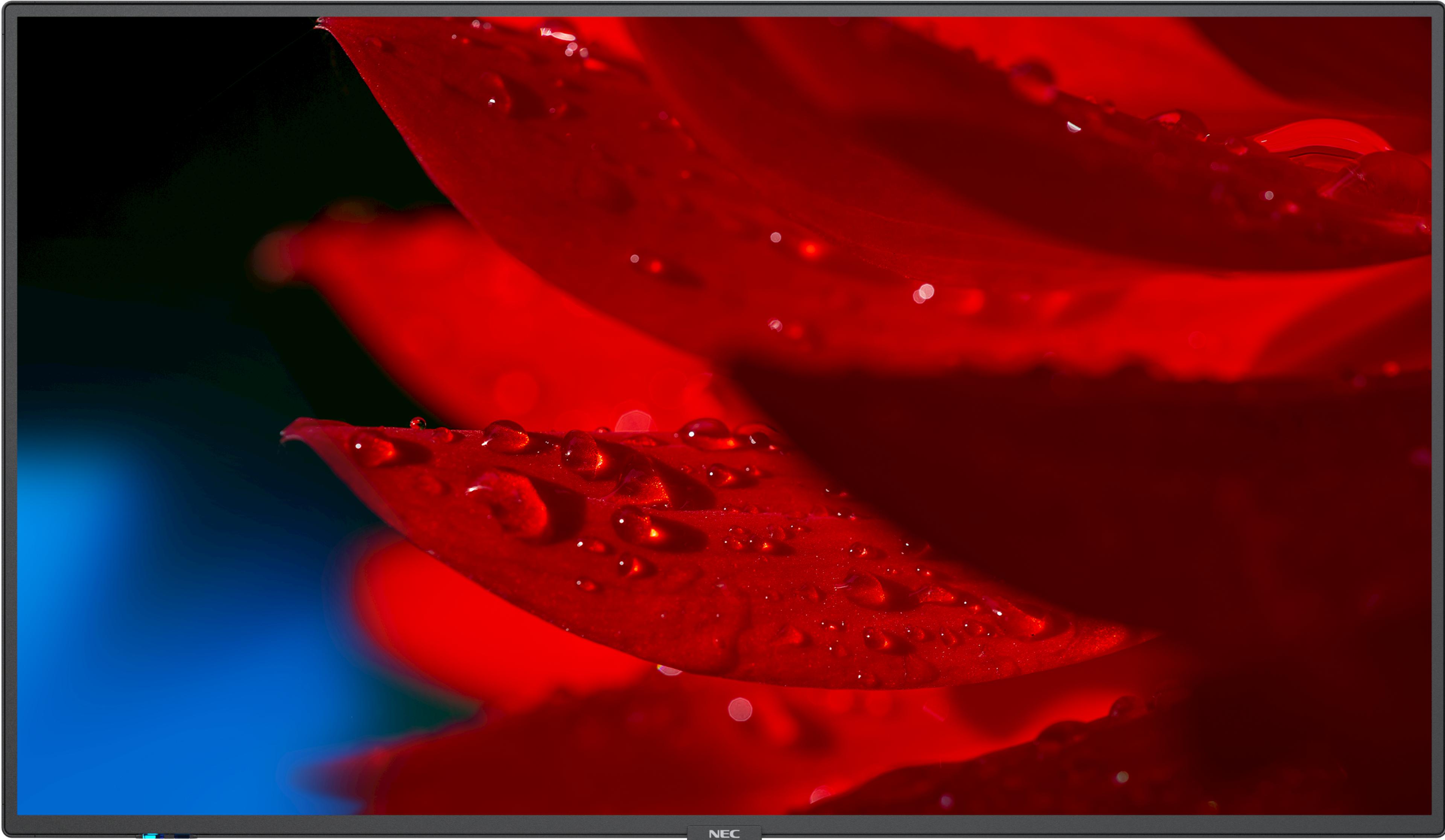 NEC MultiSync MA431 Display