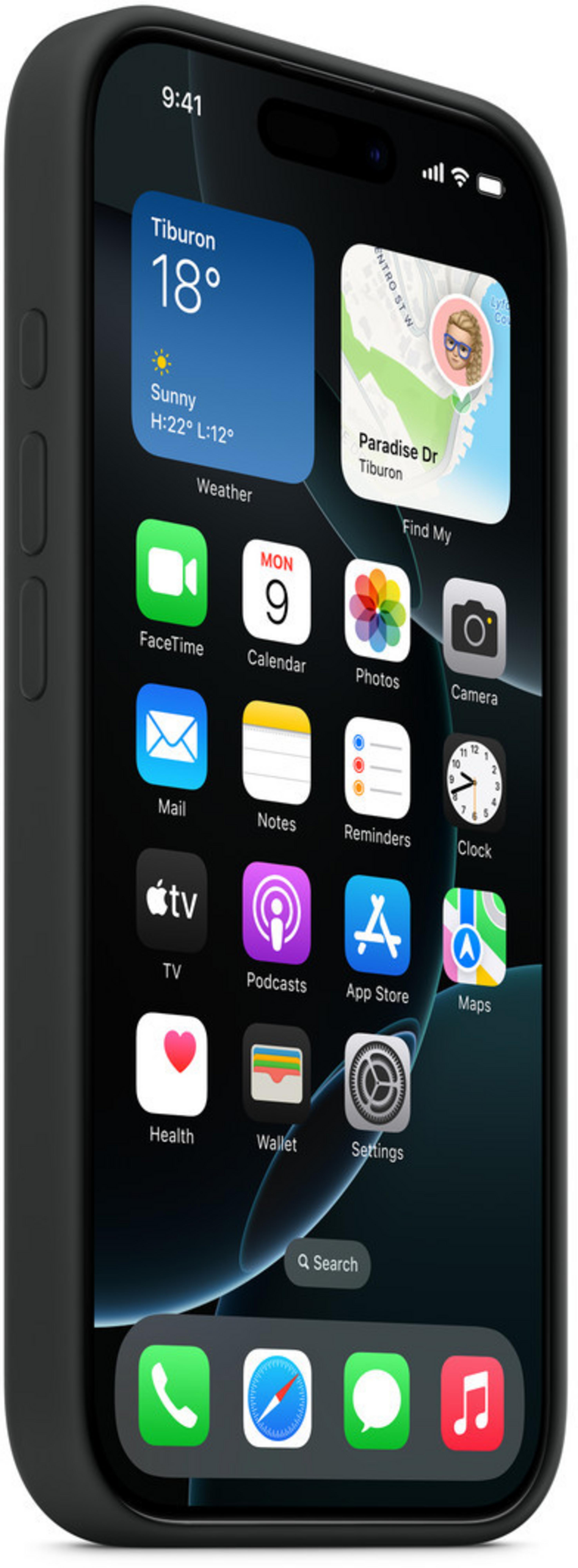 Apple iPhone 16 Pro Silicone Case Black