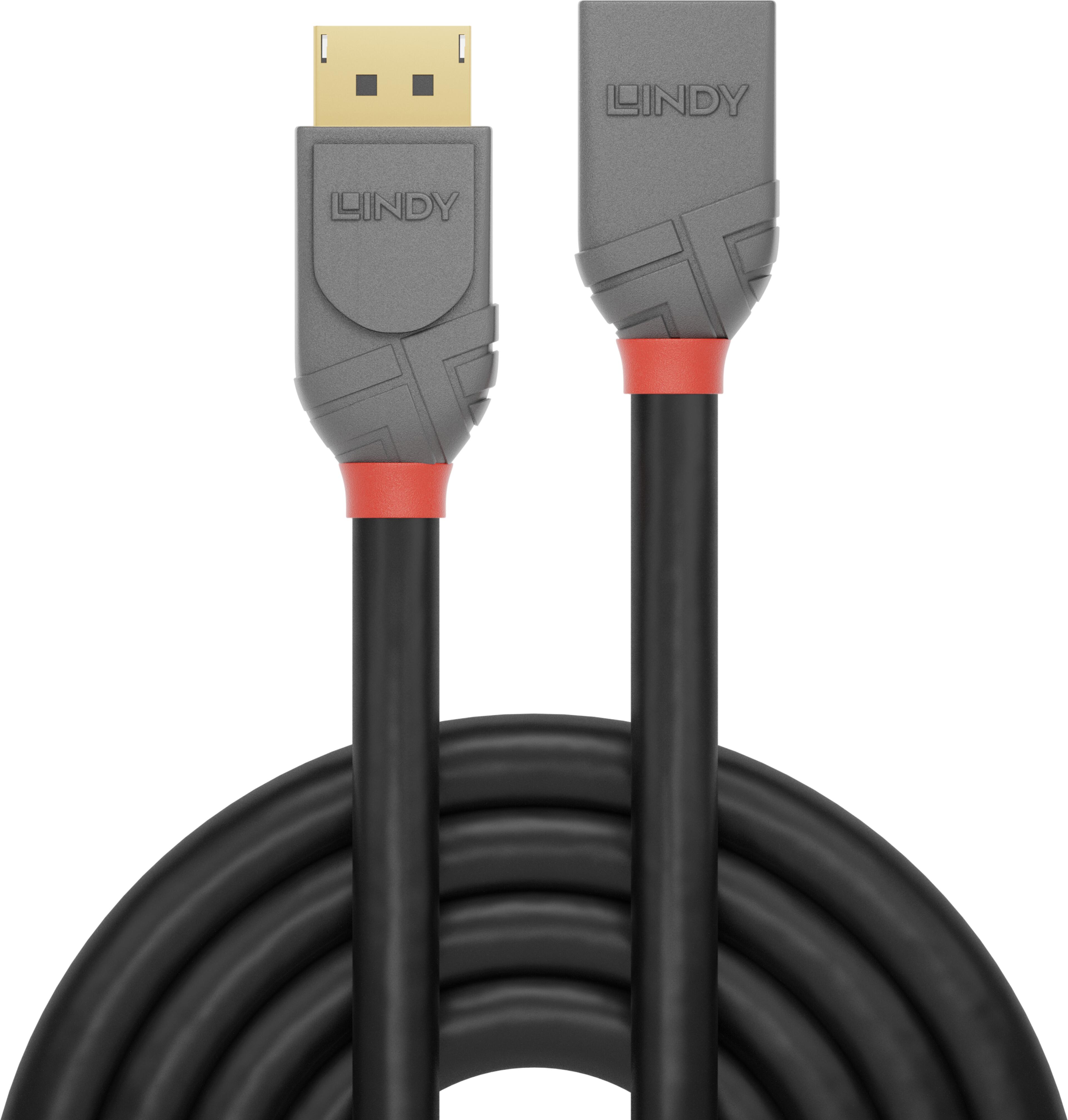 LINDY DisplayPort Extension Cable 3m