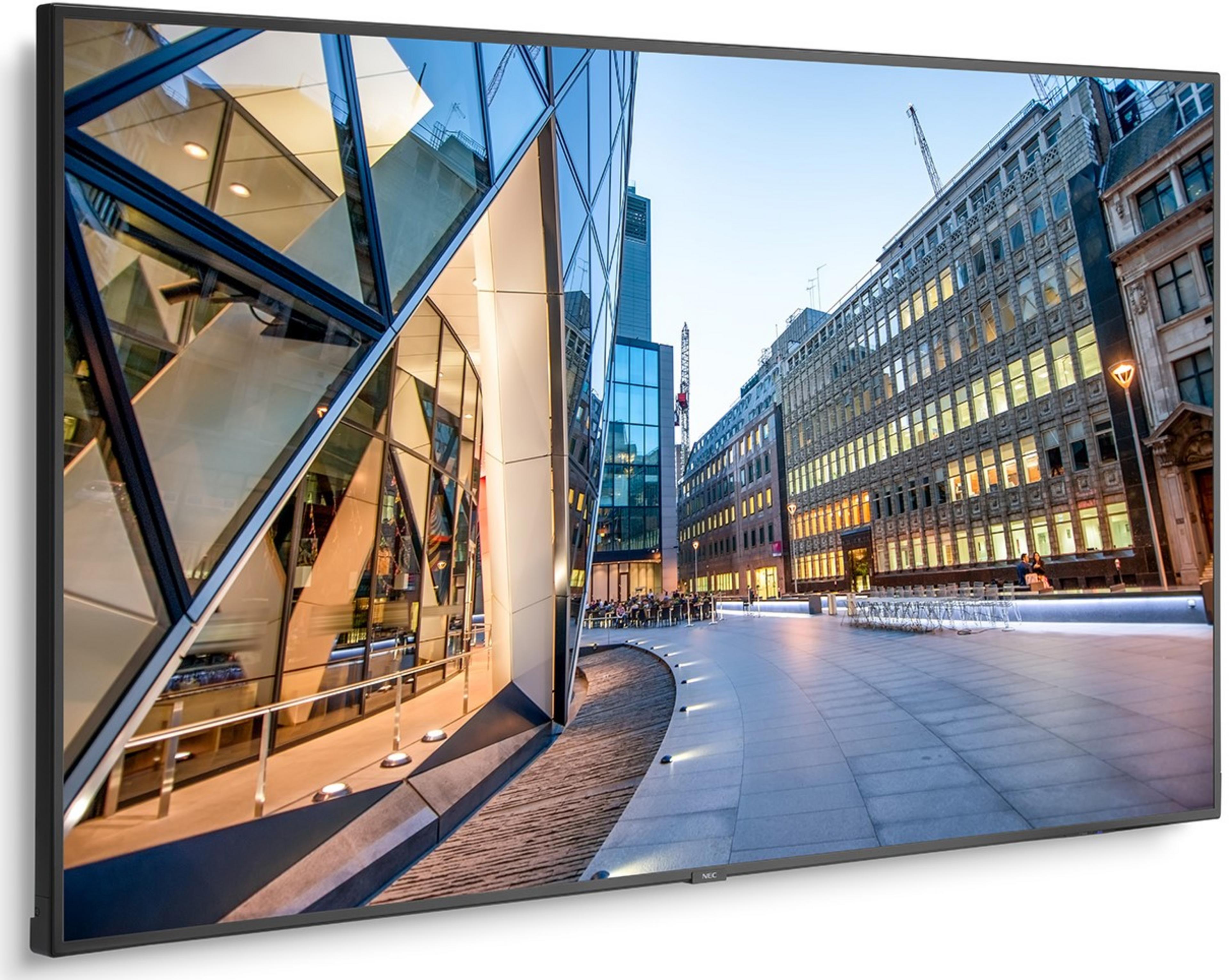 Display NEC MultiSync C750Q