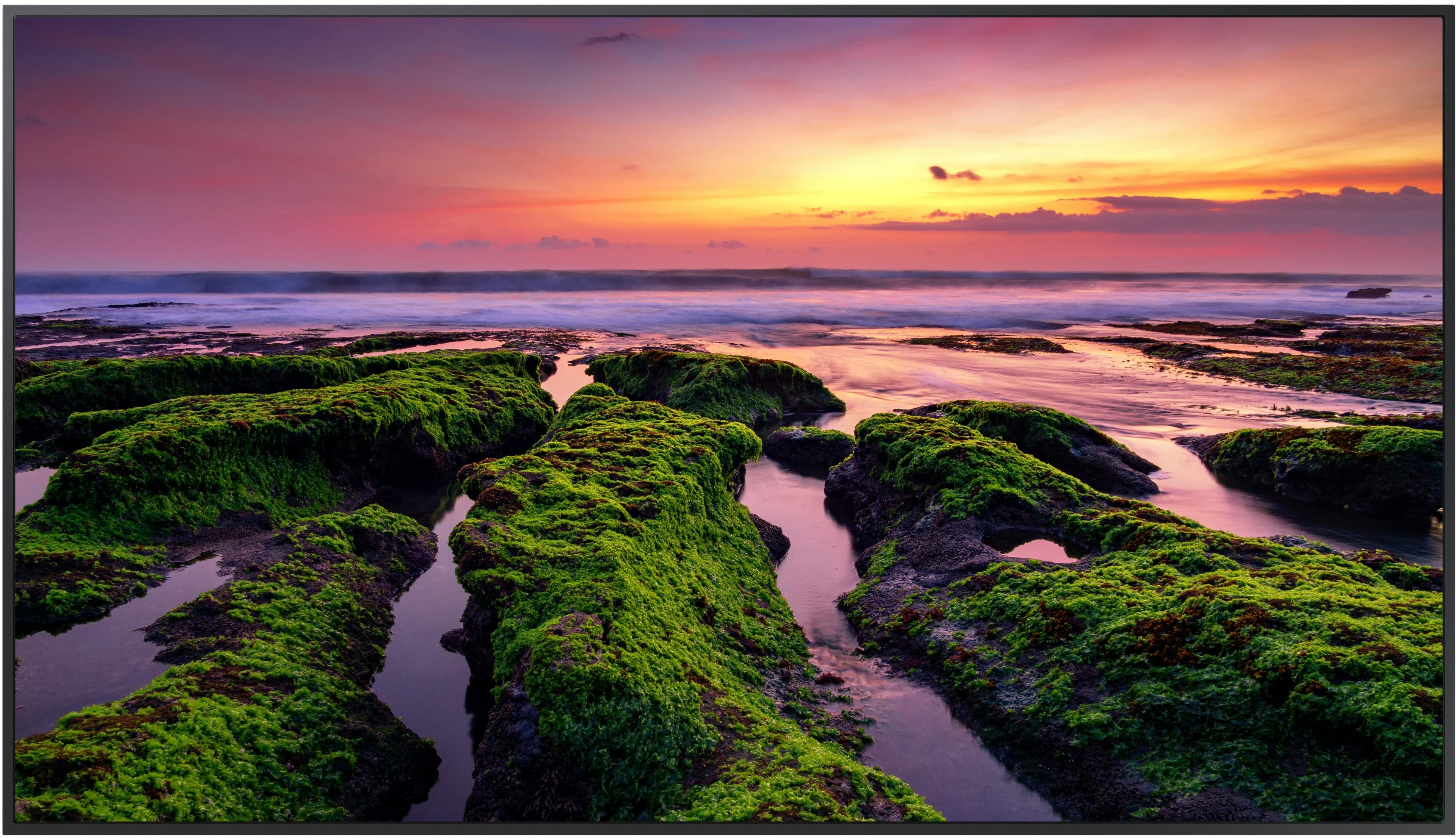 Samsung QB98T-B Smart Signage Display