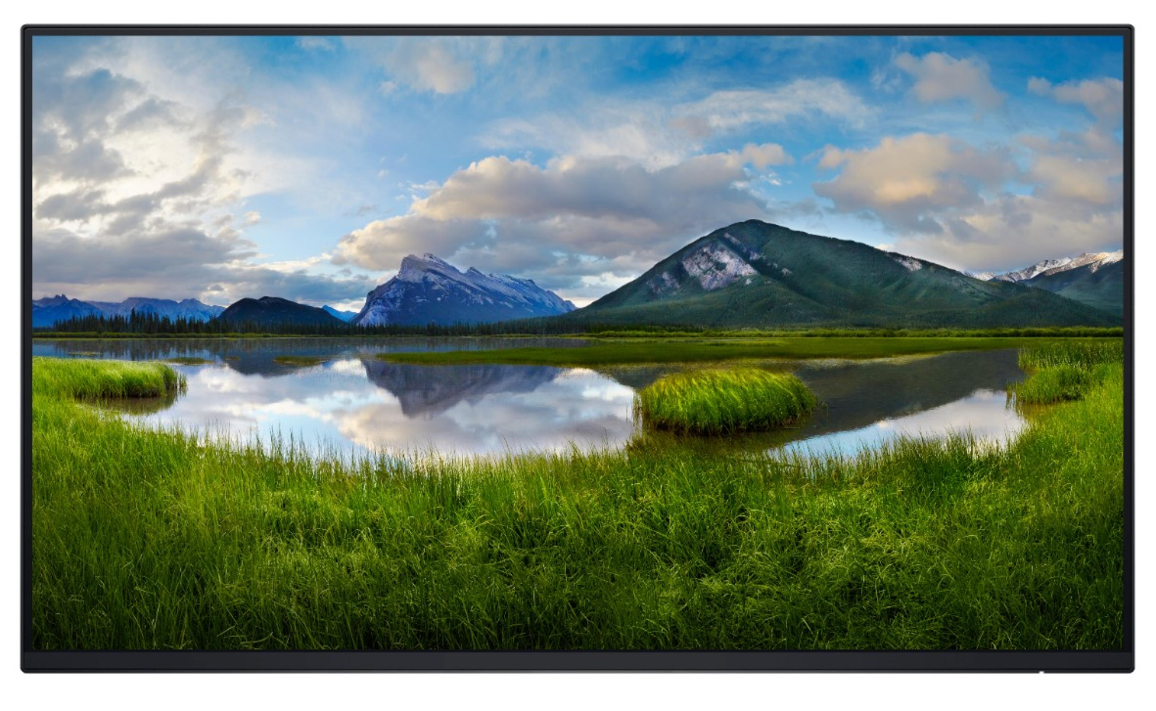 Dell Pro 24 Plus P2425H Monitor no Stand