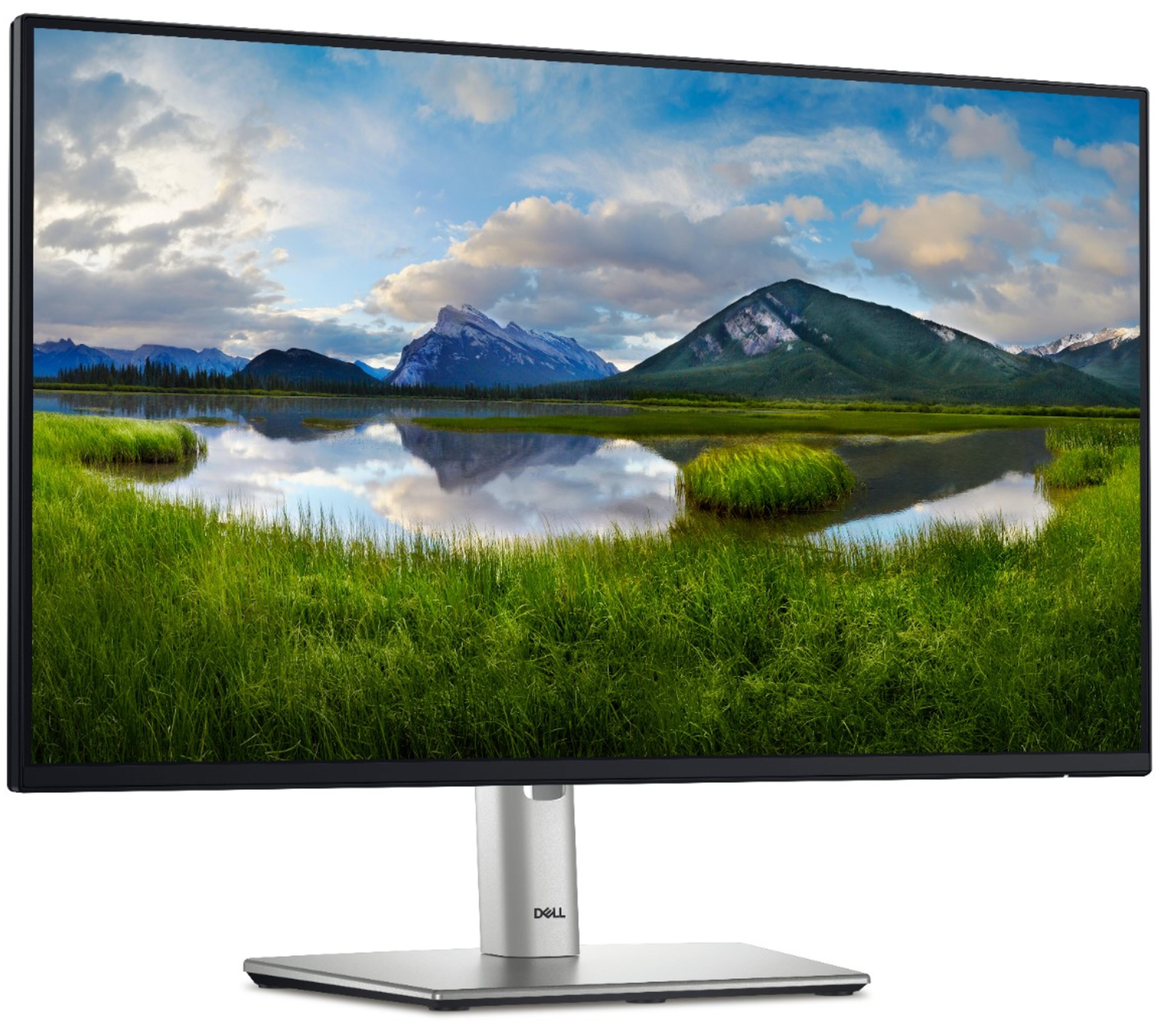 Dell Pro 24 Plus P2425H Monitor