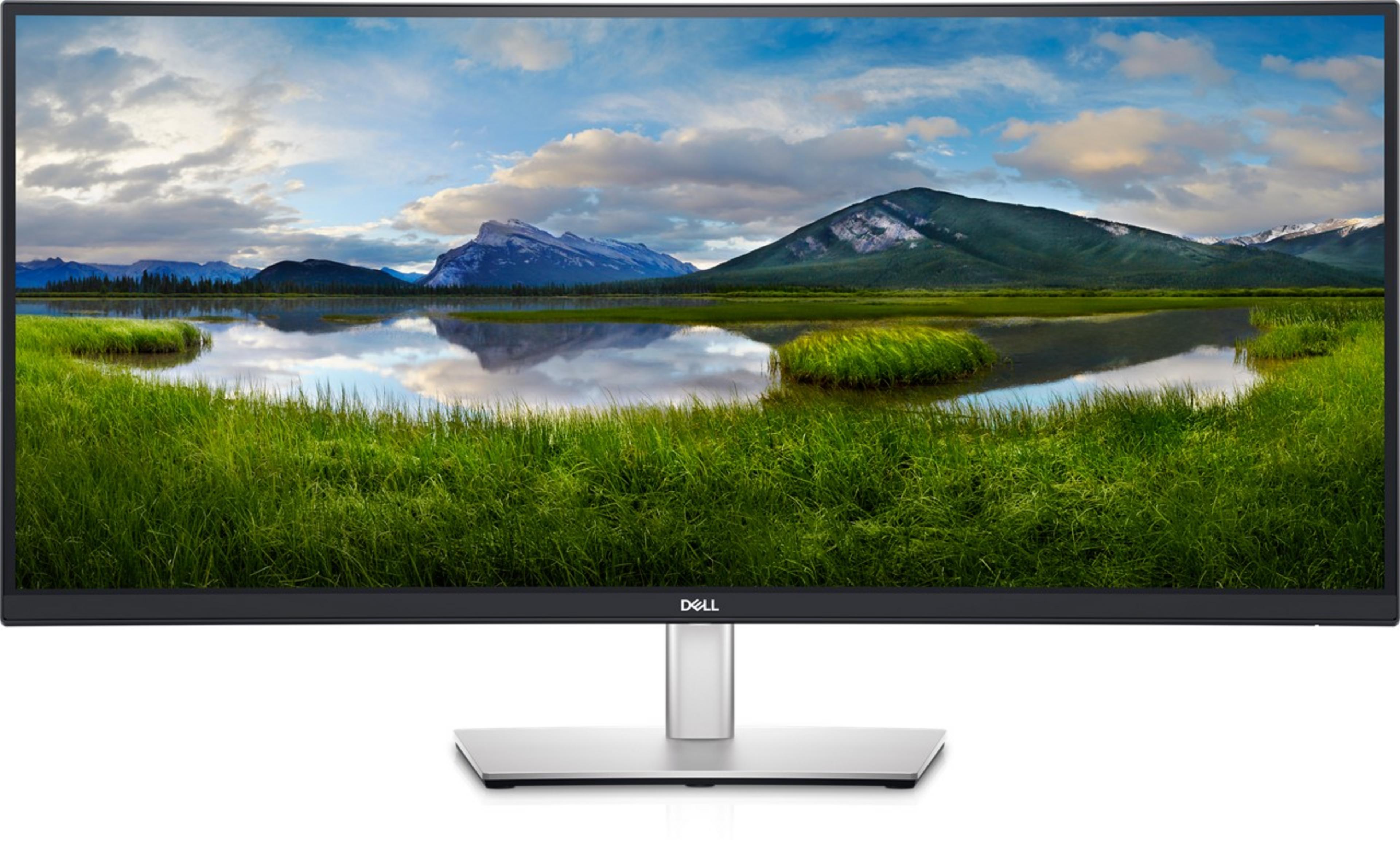 Dell Professional P3421WM Curved Monitor