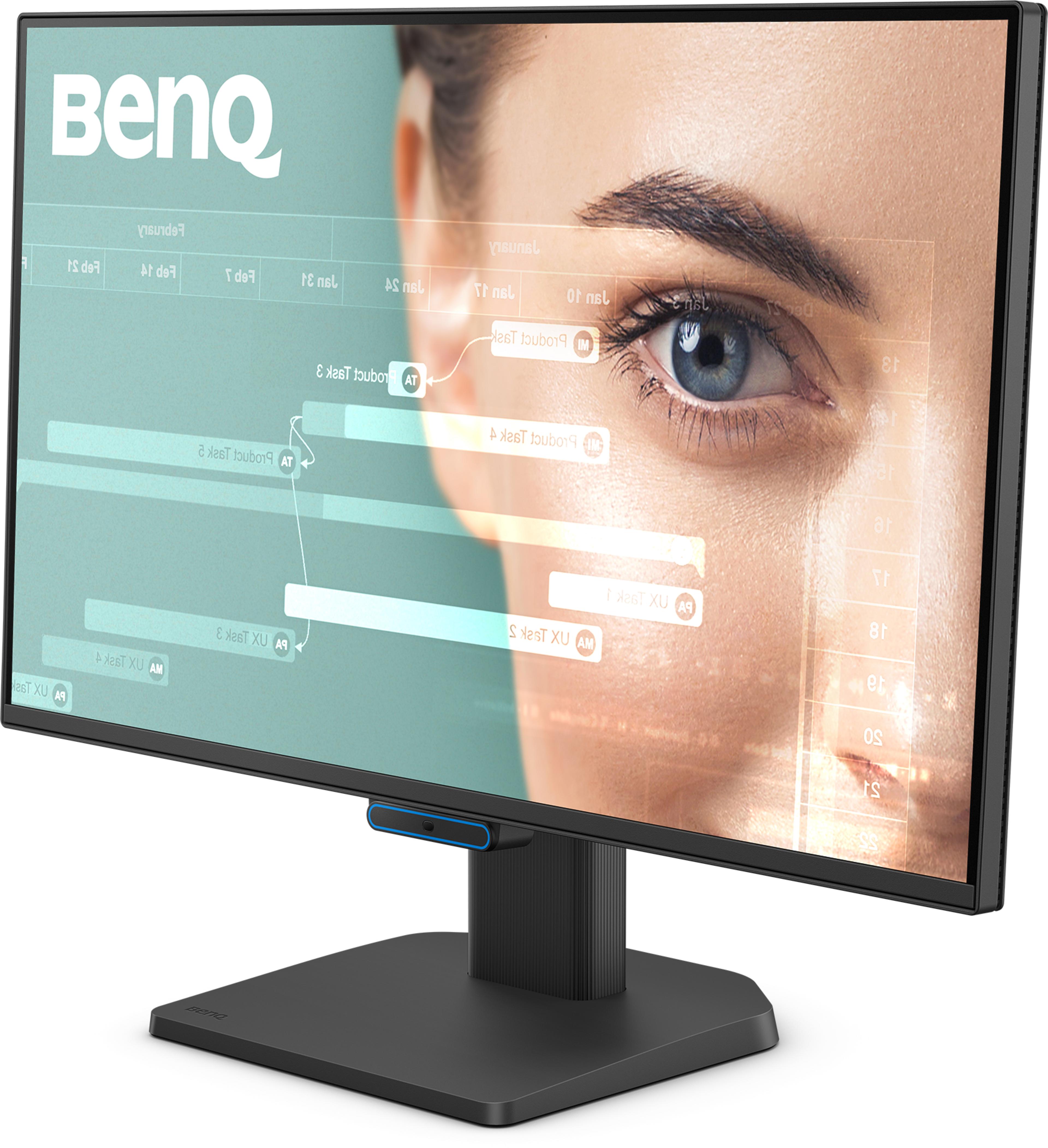 Écran BenQ BL2490C