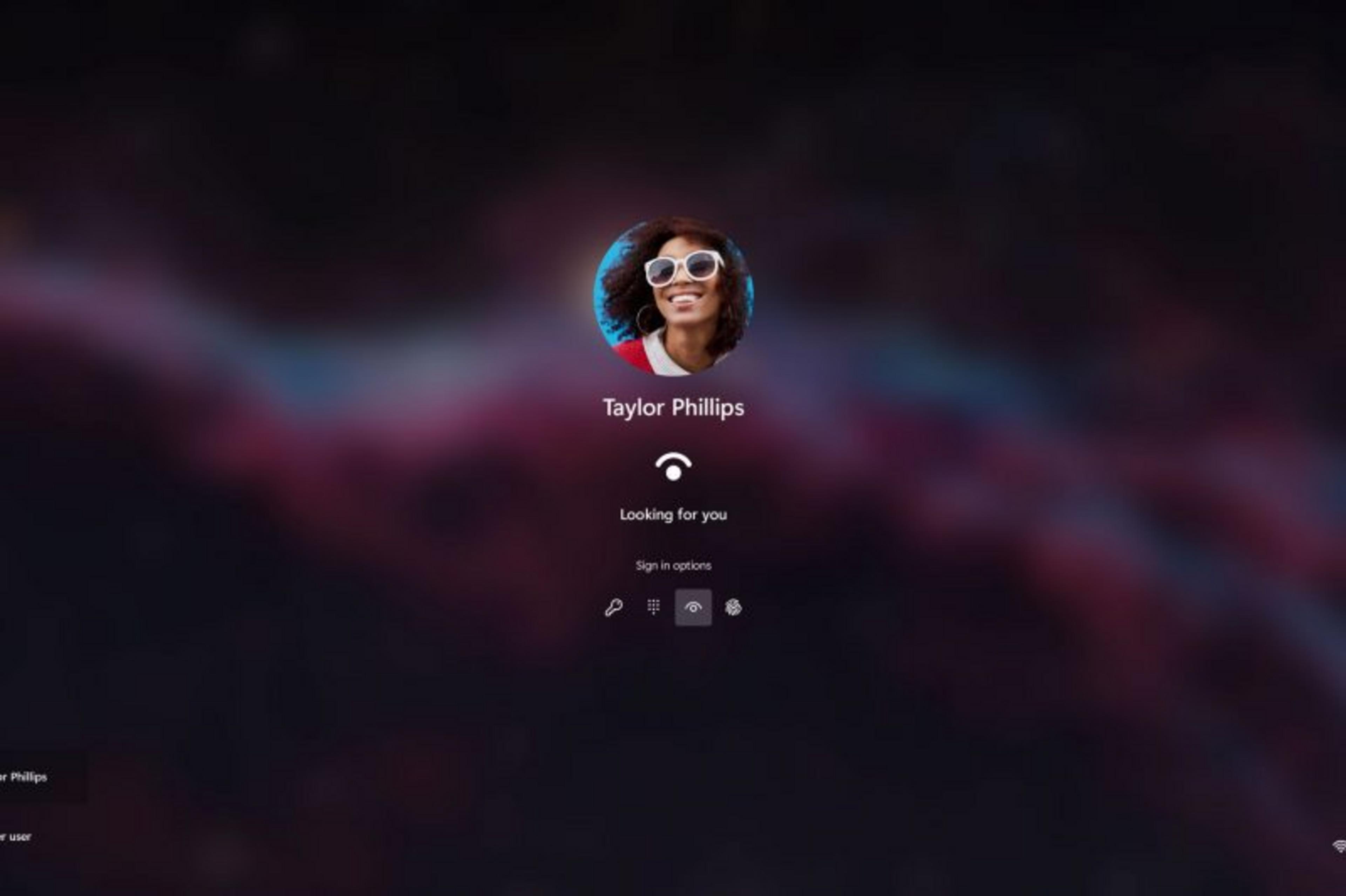 Microsoft Windows 11 Professional All Languages 1 License