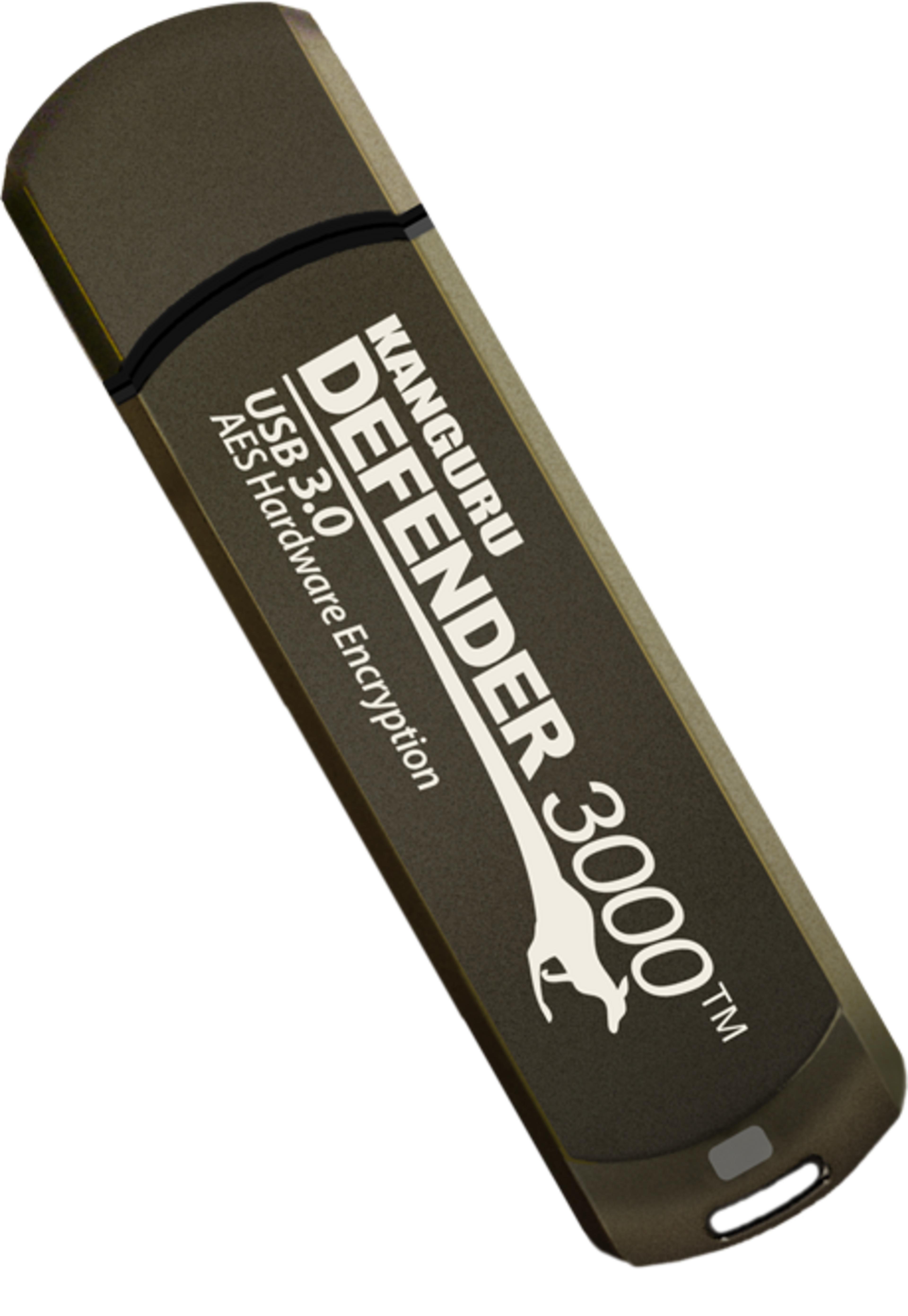 Kanguru Defender 3000 128 GB USB Stick