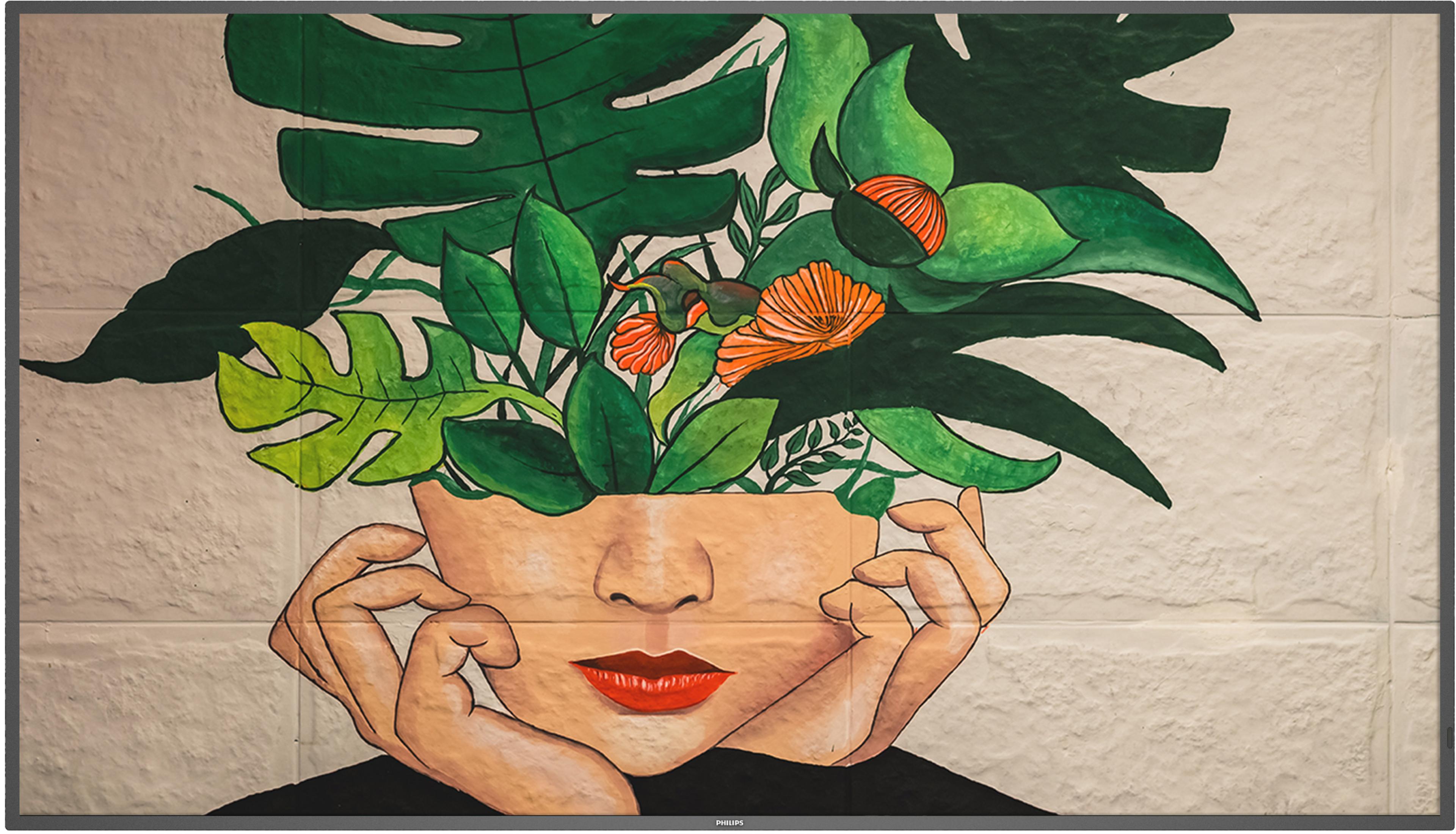 Philips 43BDL4511D Display