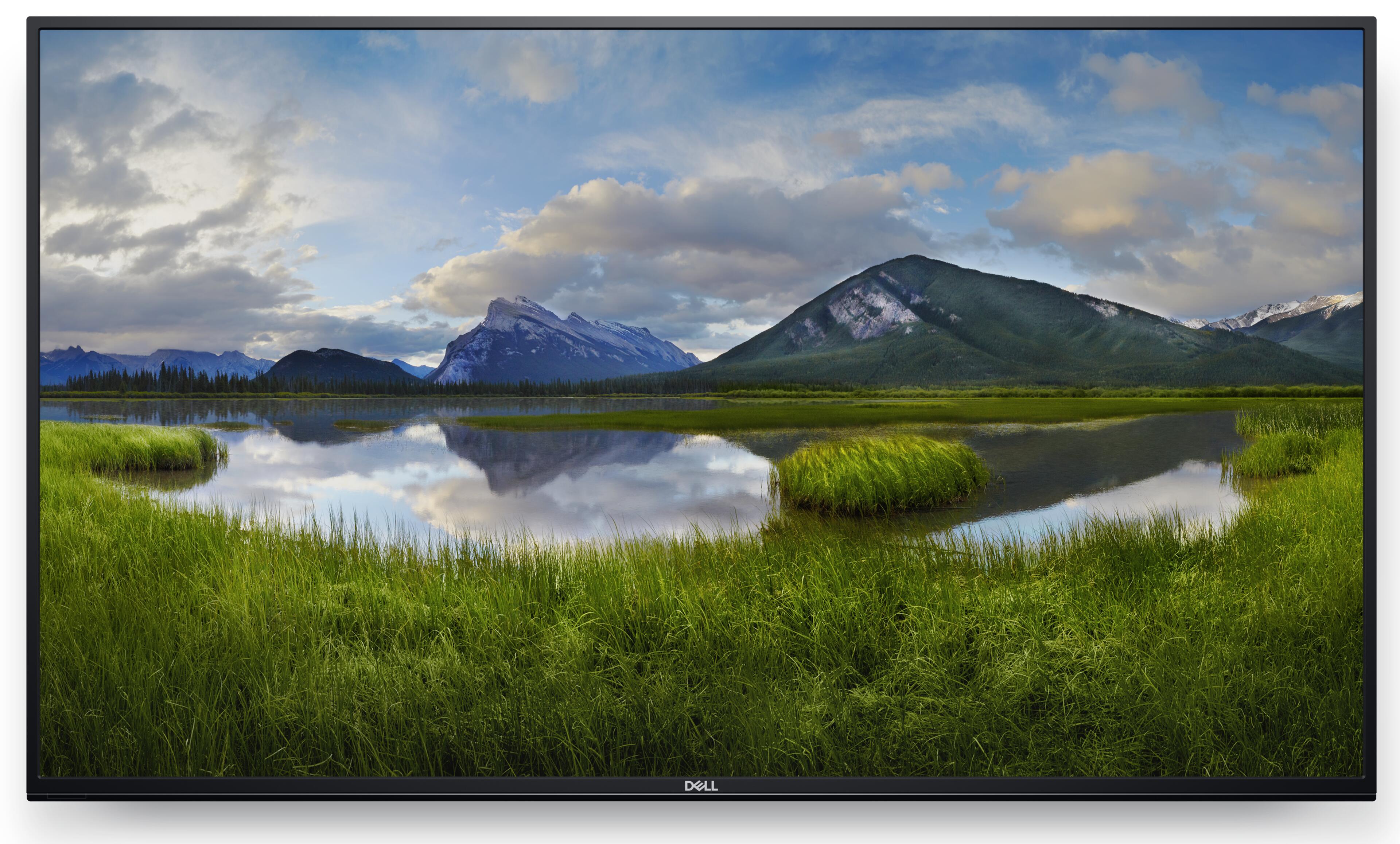 Dell C5519QA Konferenzmonitor