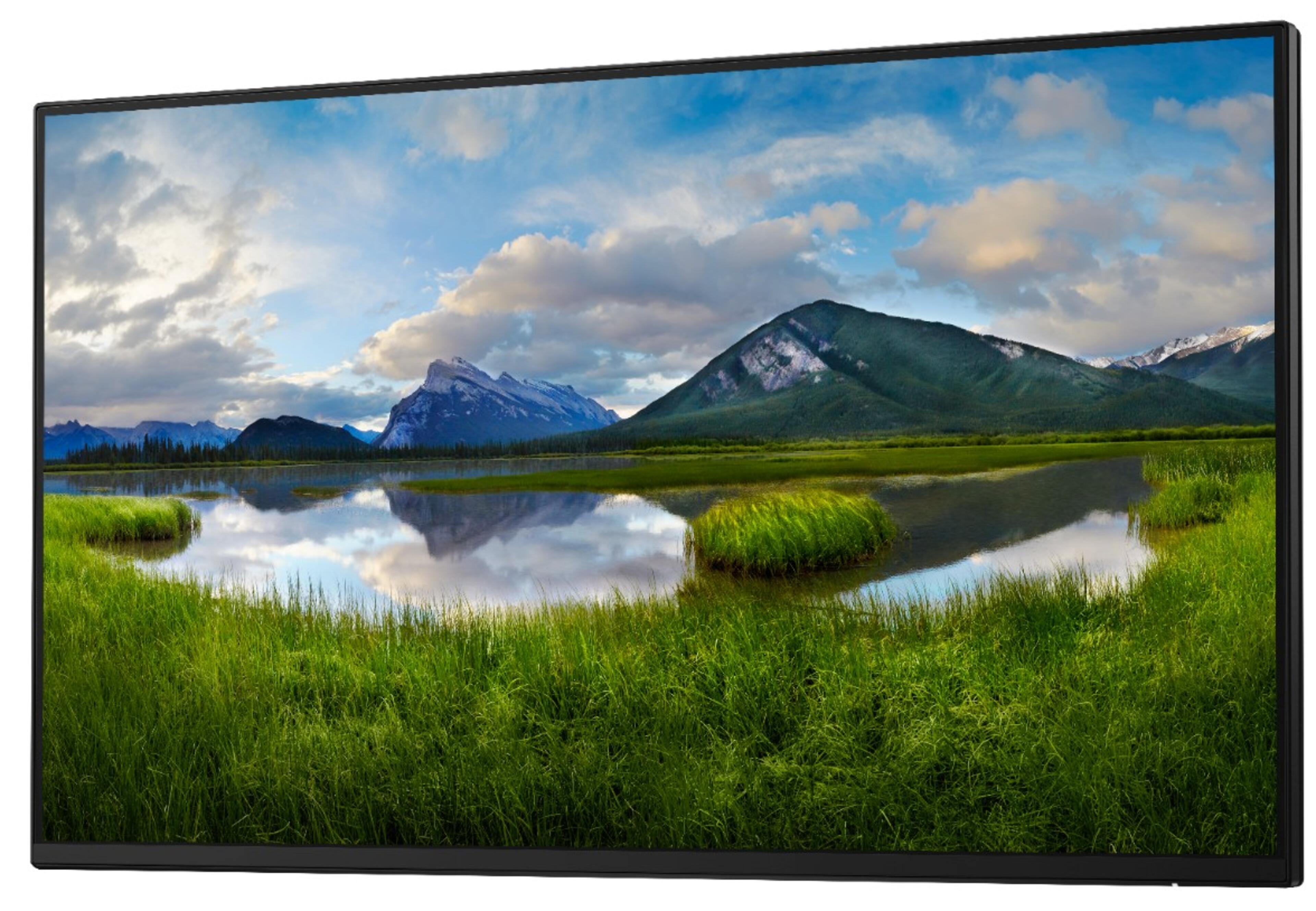 Dell Pro 24 Plus P2425HE Monitor o. Fuß