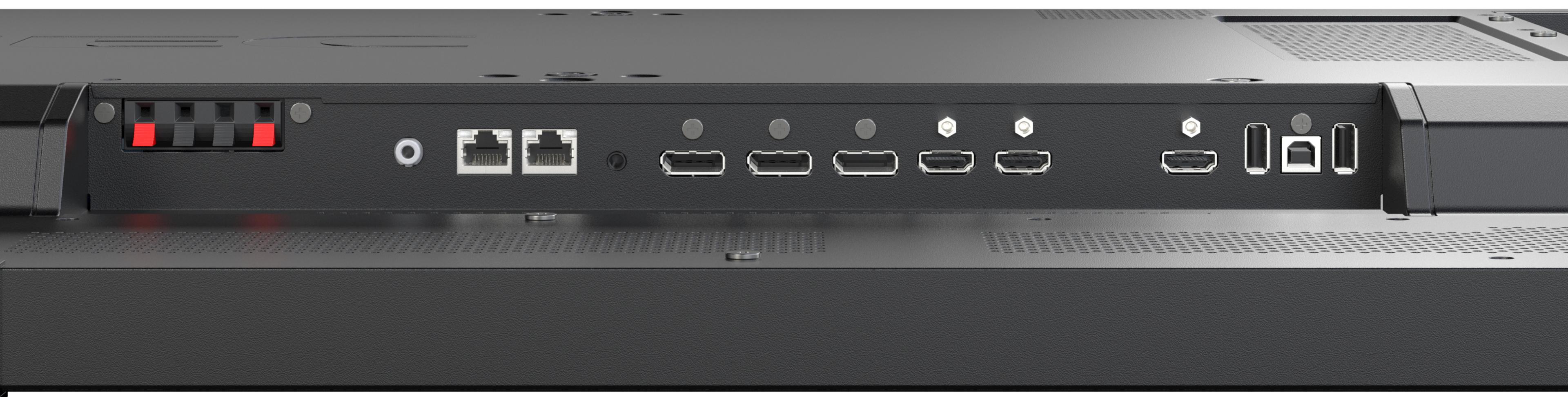 Sharp/NEC P495 Display