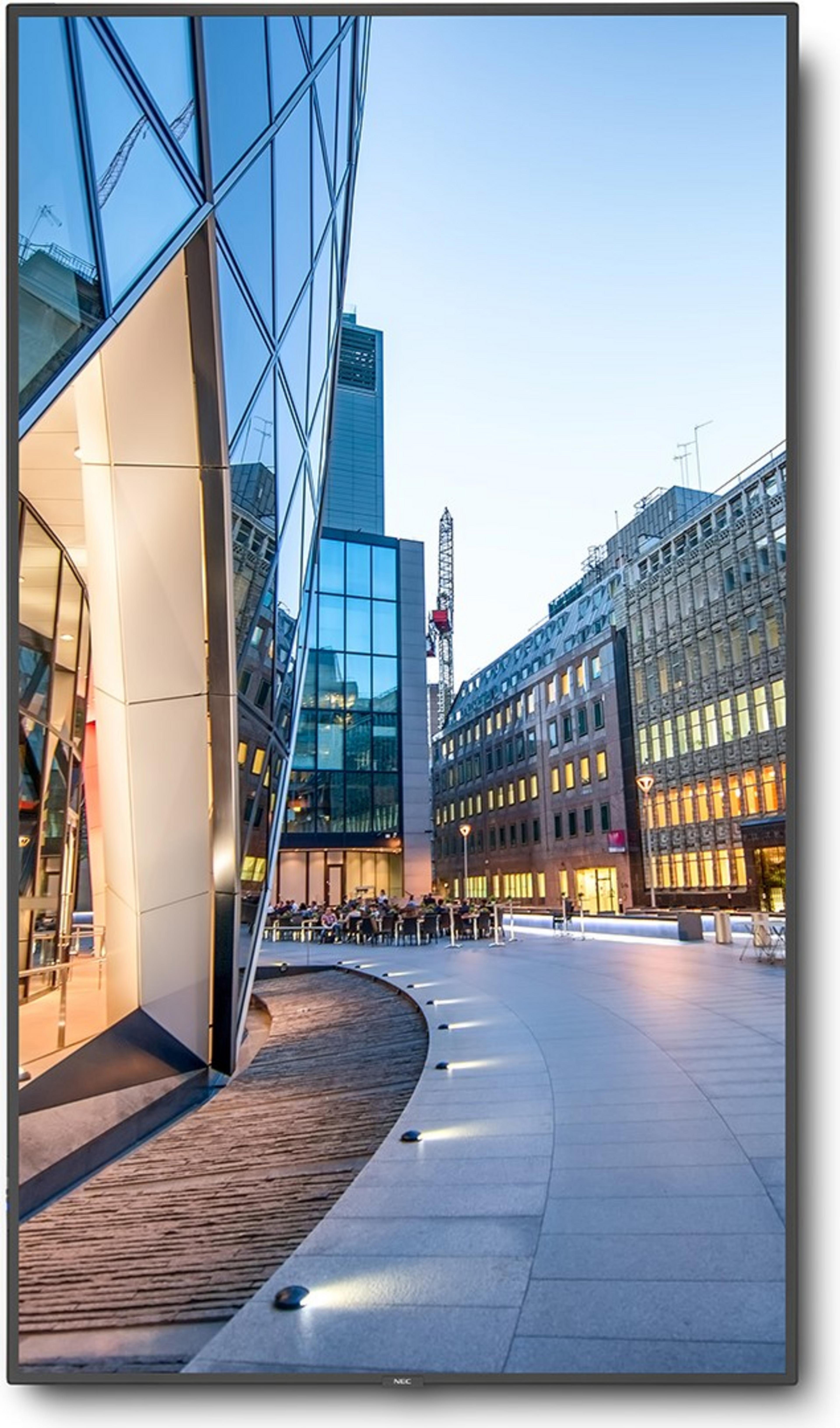 Display NEC MultiSync C750Q