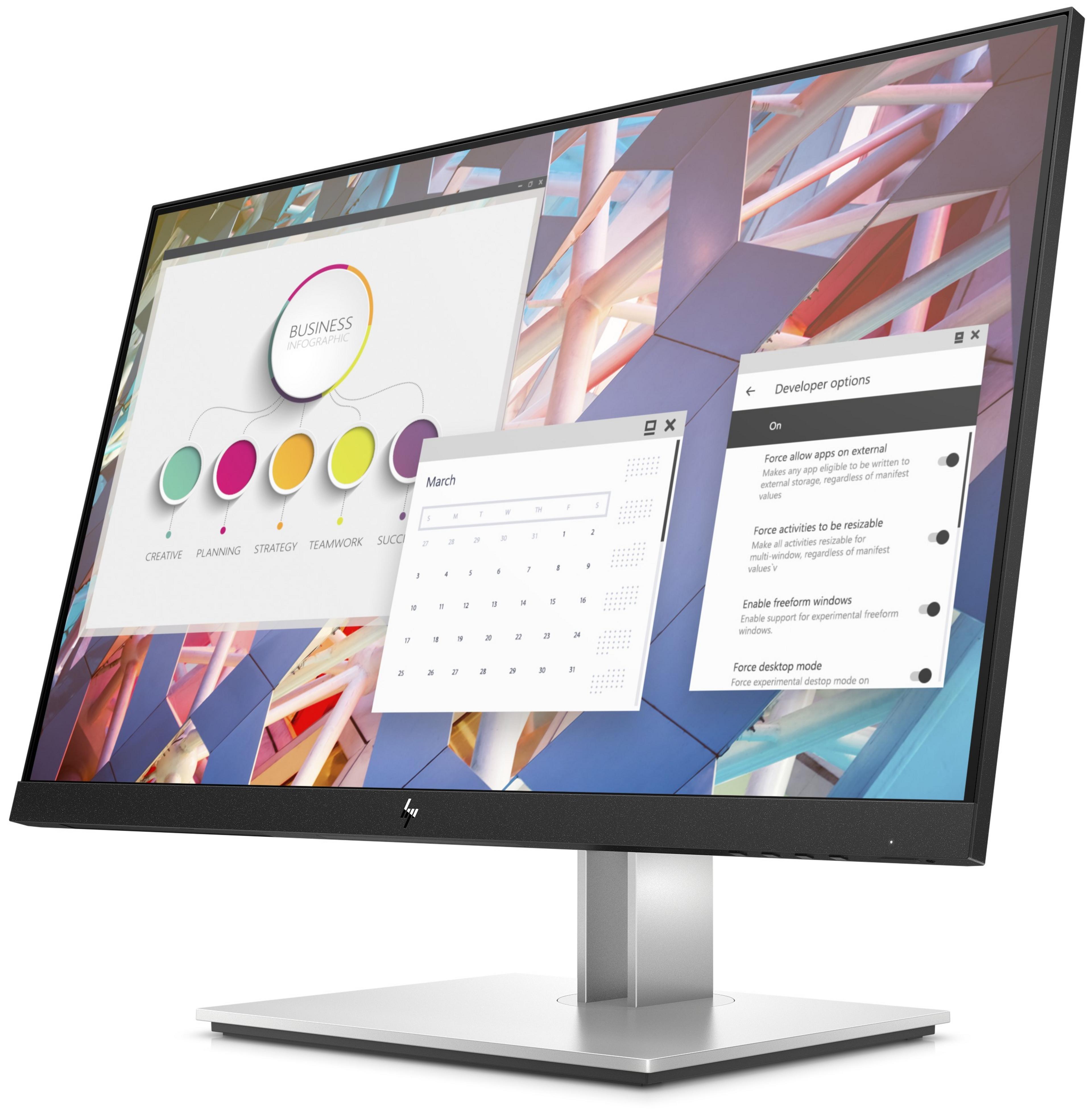 HP E24 G4 FHD Monitor