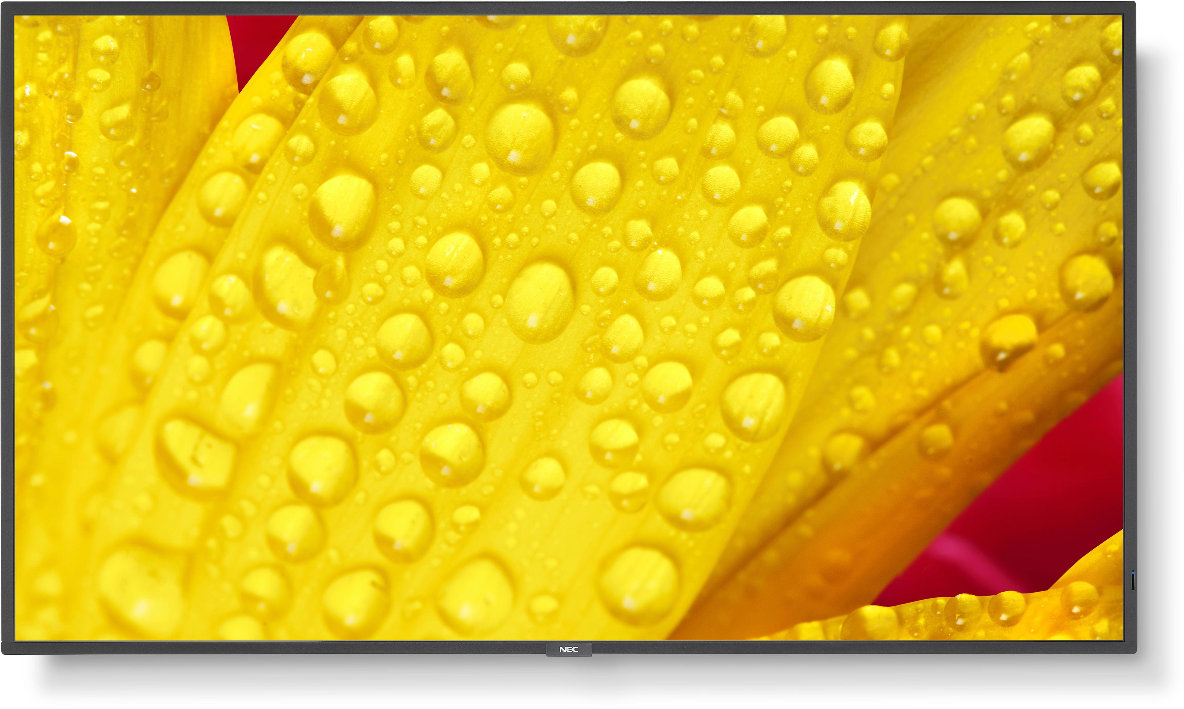 Sharp/NEC M651-2 Display