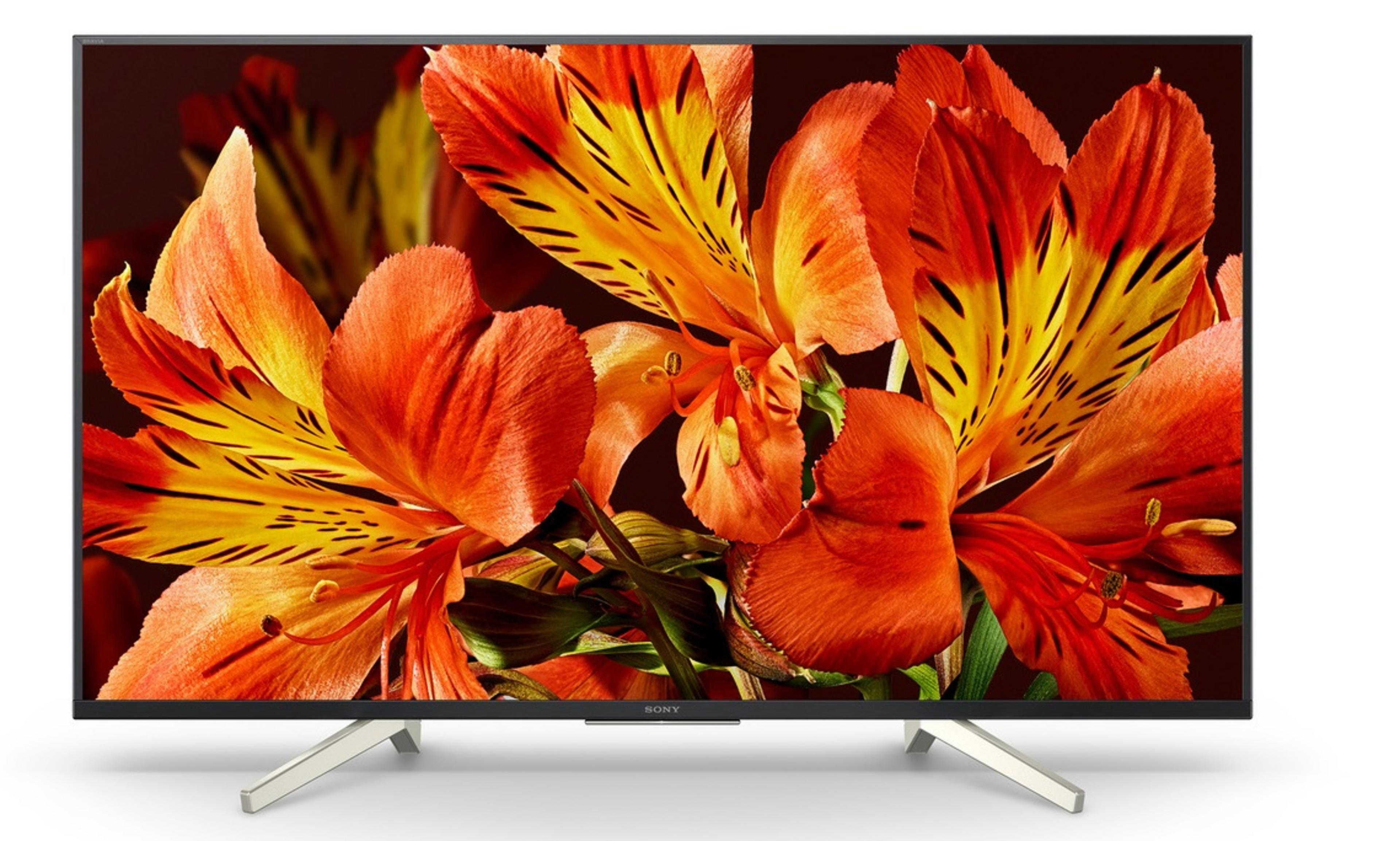 Sony Bravia FW-49BZ35F Monitor