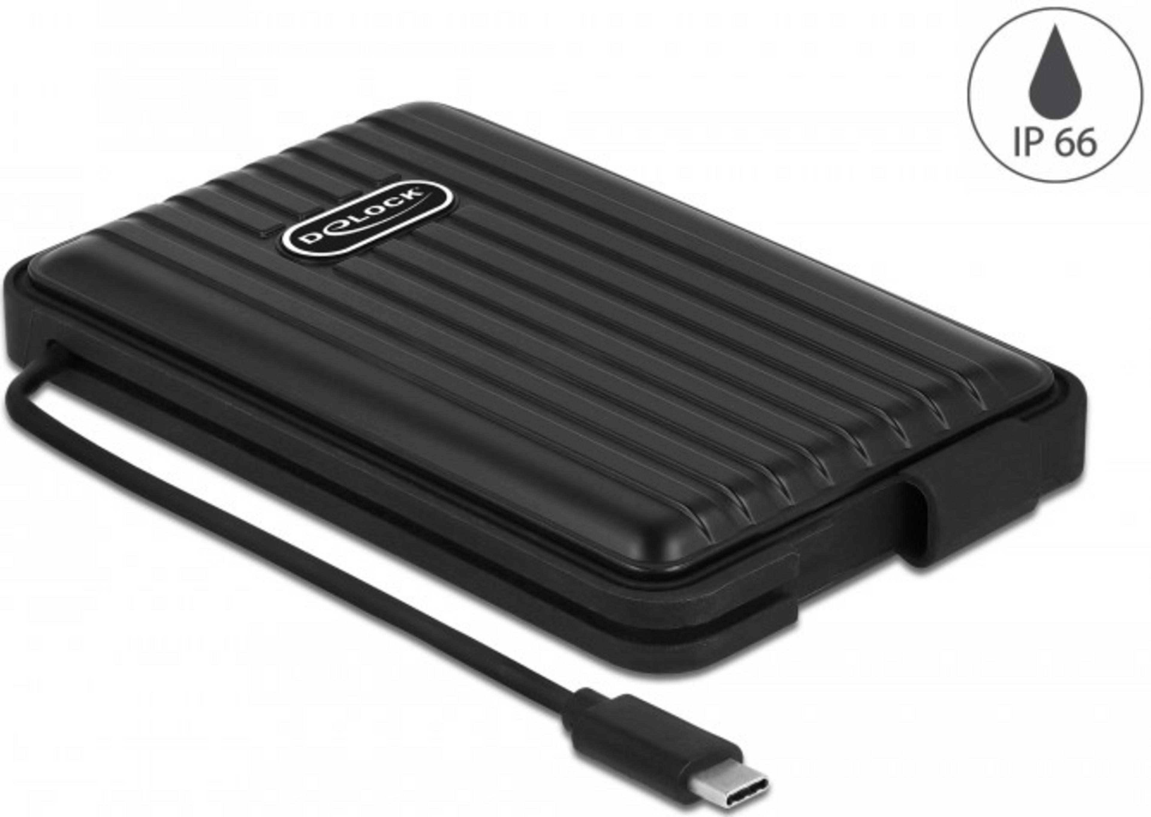 Delock SATA HDD/SSD - USB-C IP66 Chassis