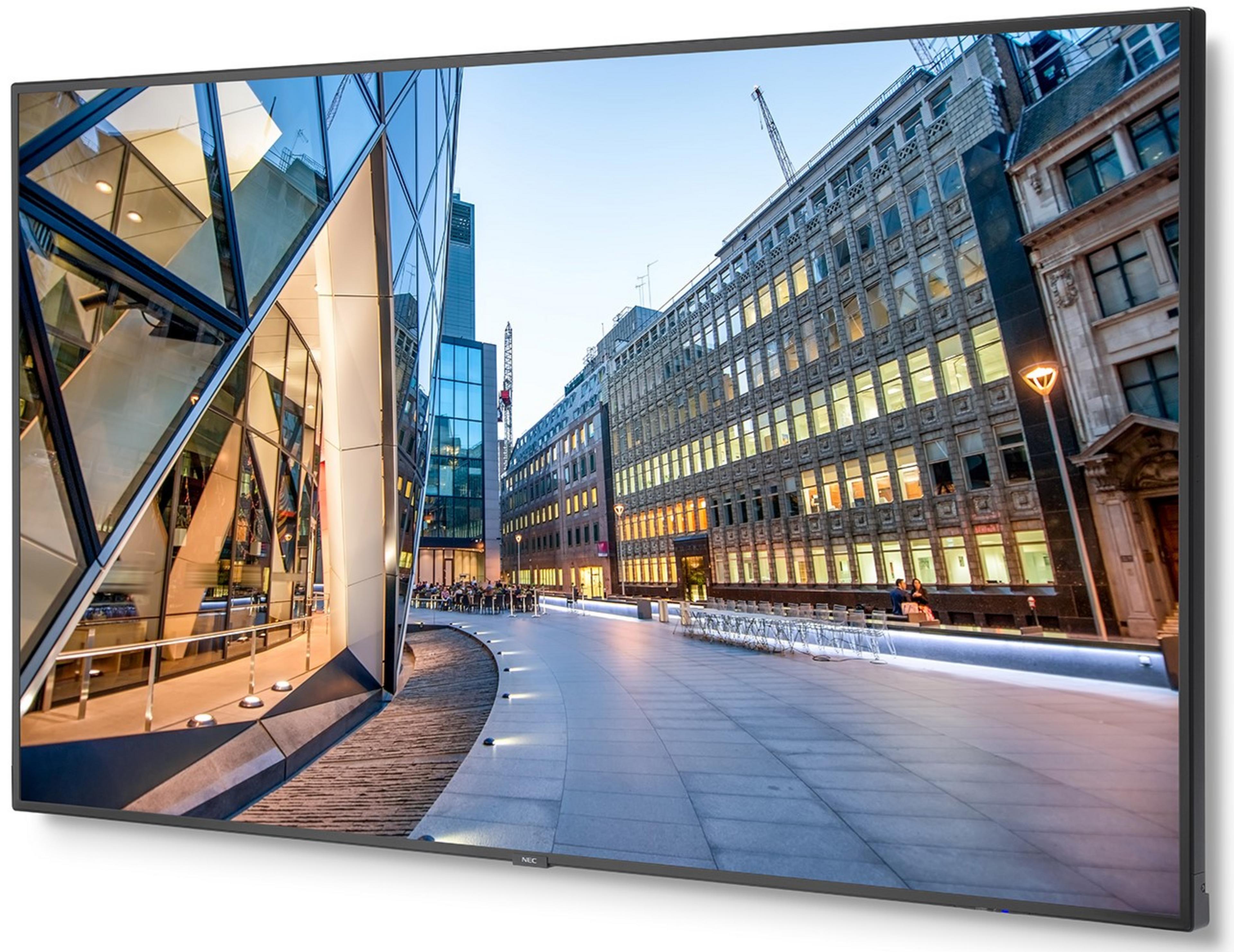 Display NEC MultiSync C750Q