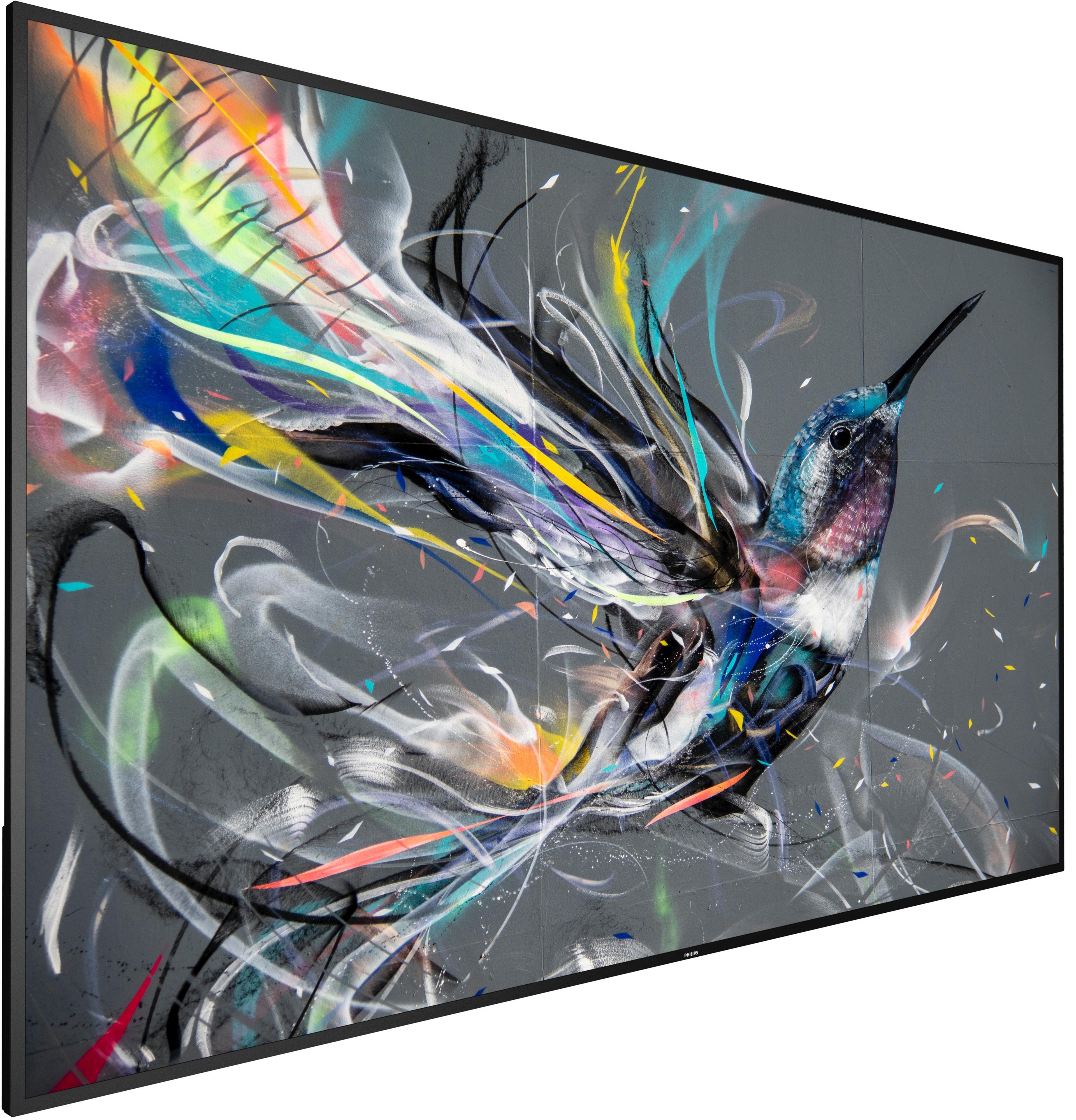 Philips 55BDL3511Q Display