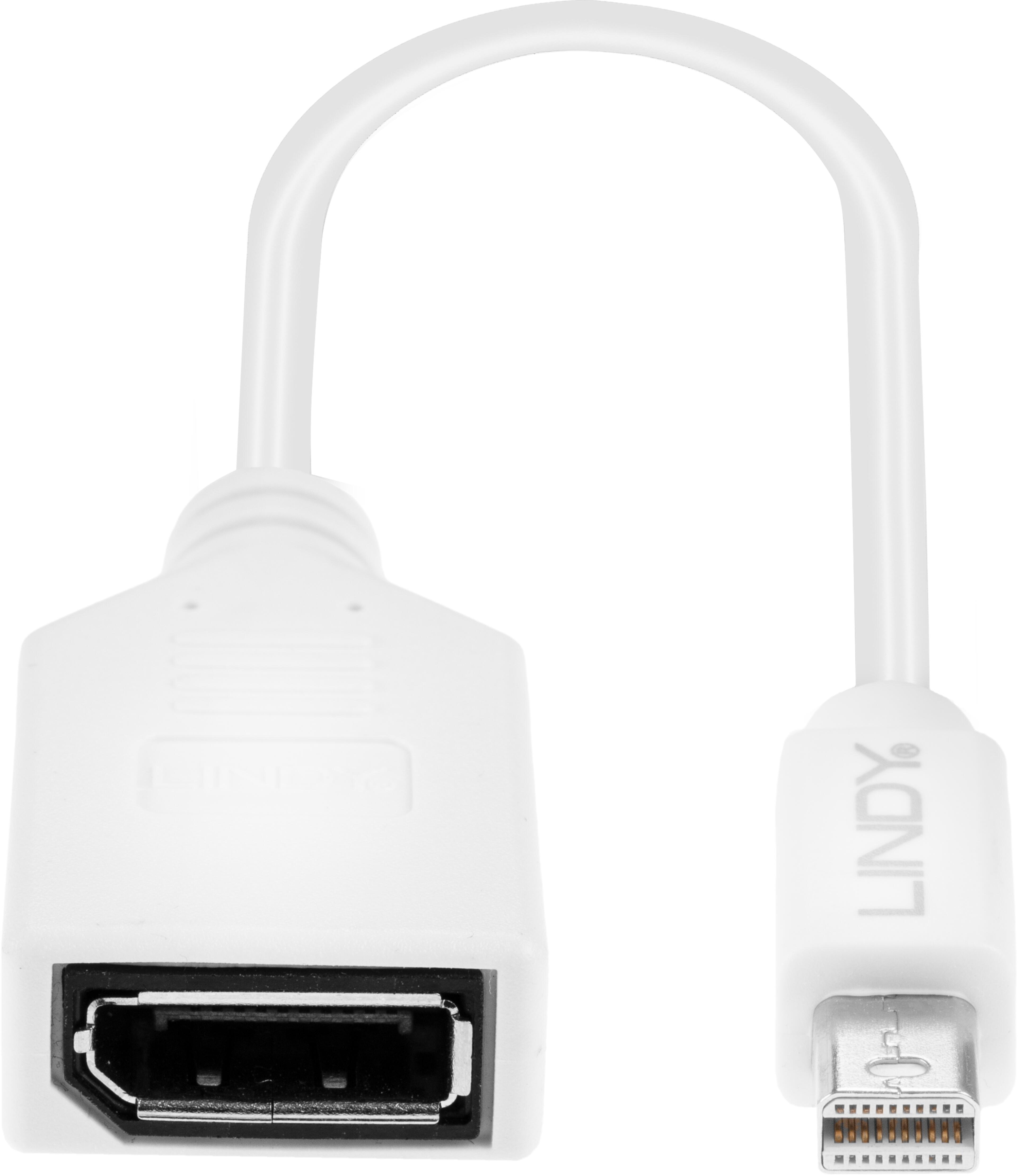 LINDY DisplayPort - Mini DP Adapter