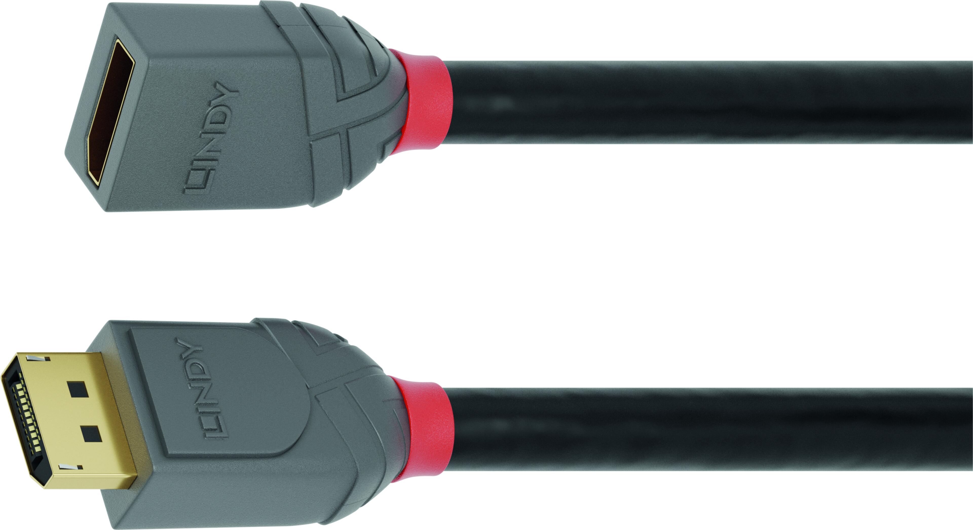 LINDY DisplayPort Extension Cable 2m