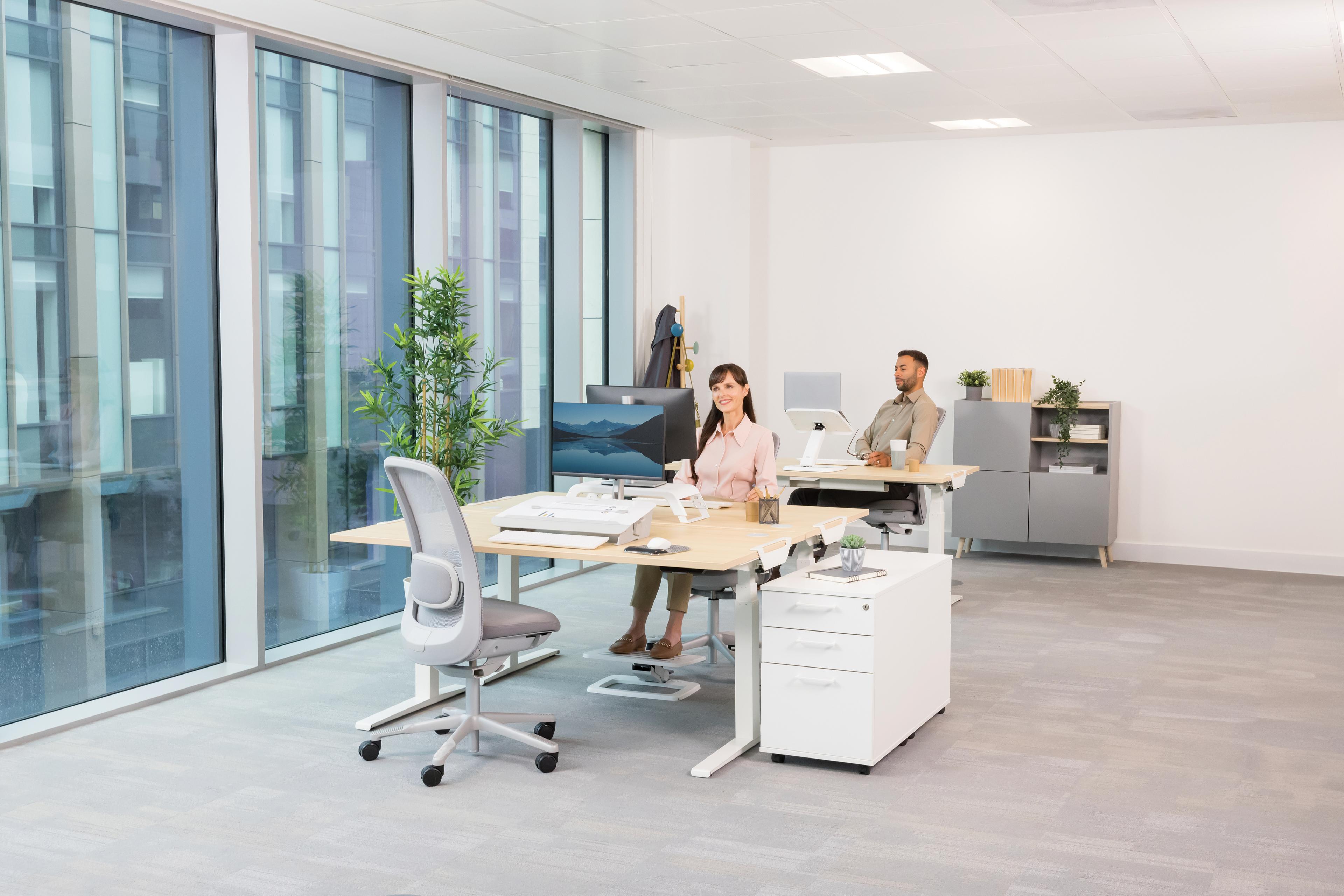 Fellowes Hana LT Foot Rest