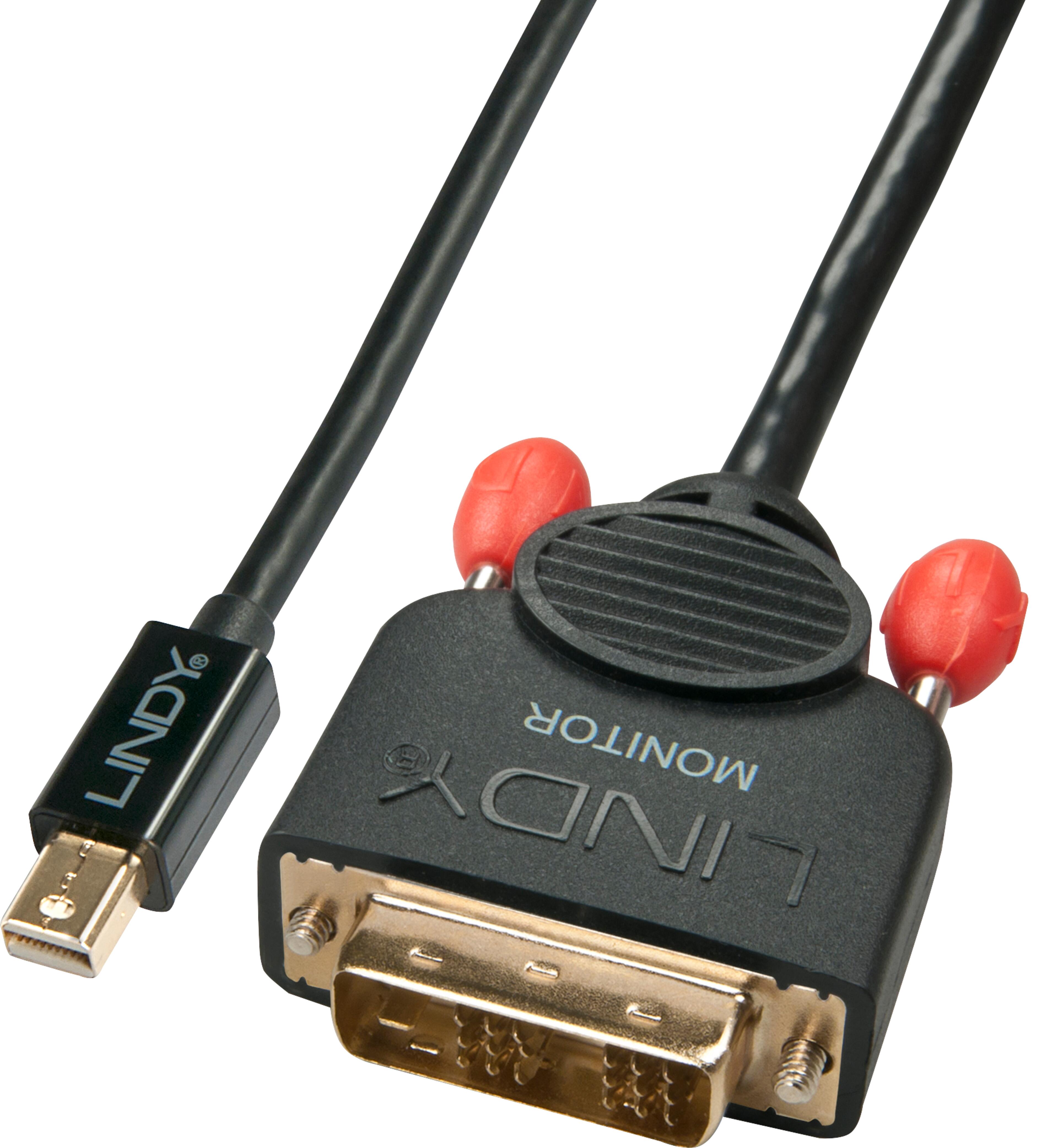 LINDY Mini DP - DVI-D Cable 3m