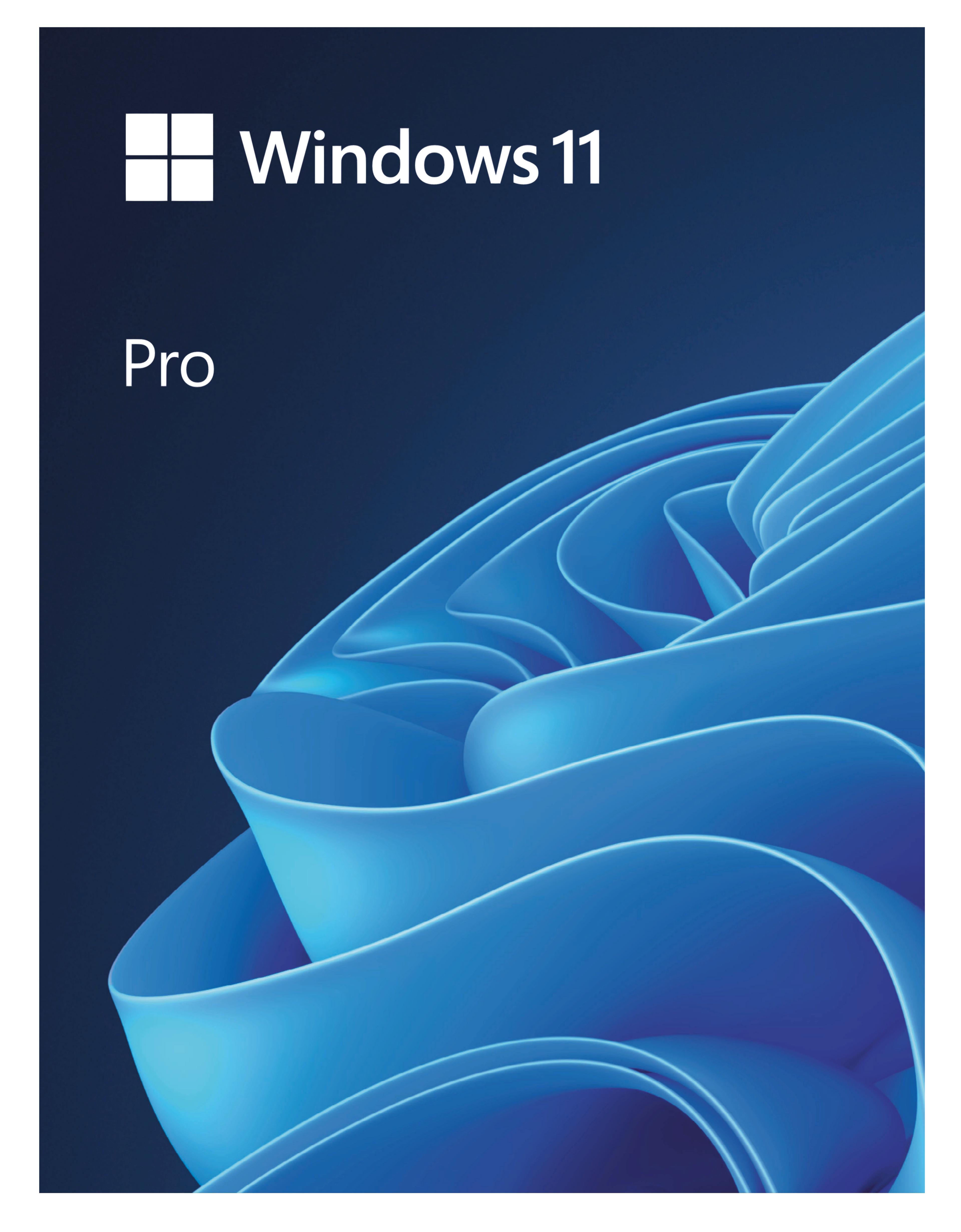 Microsoft Windows 11 Professional 1 License USB