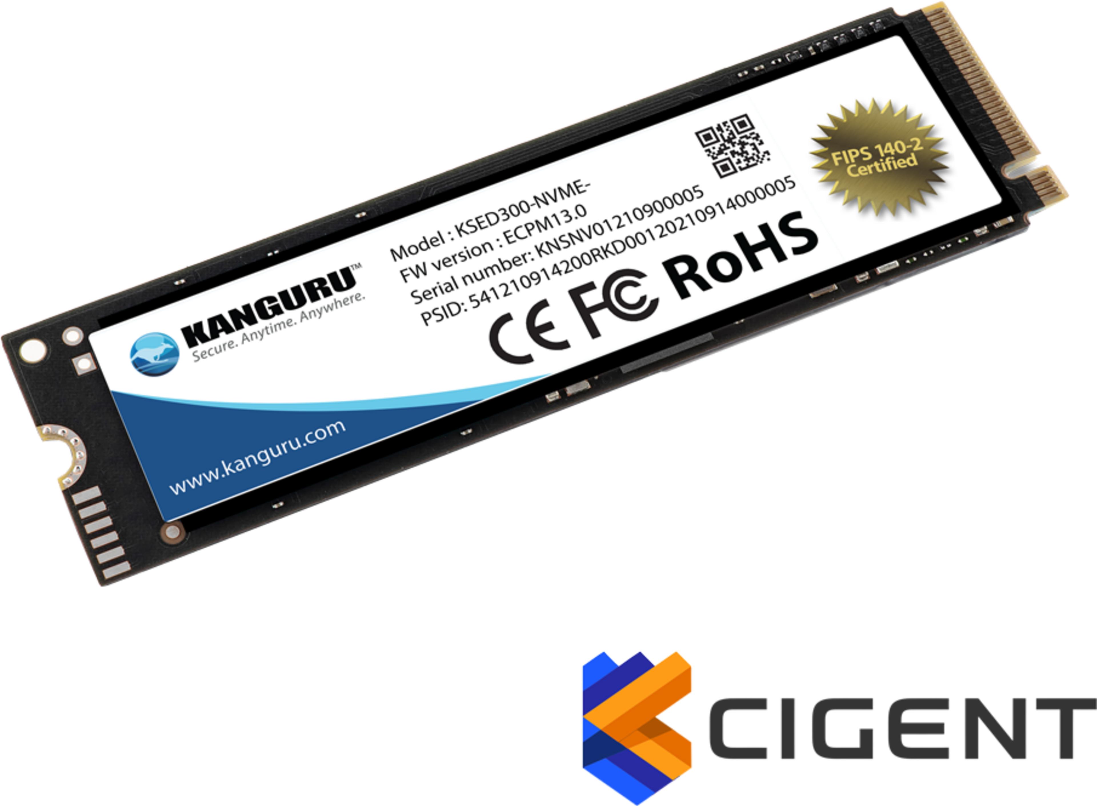 Kanguru Defender SED300 M.2 500 GB SSD