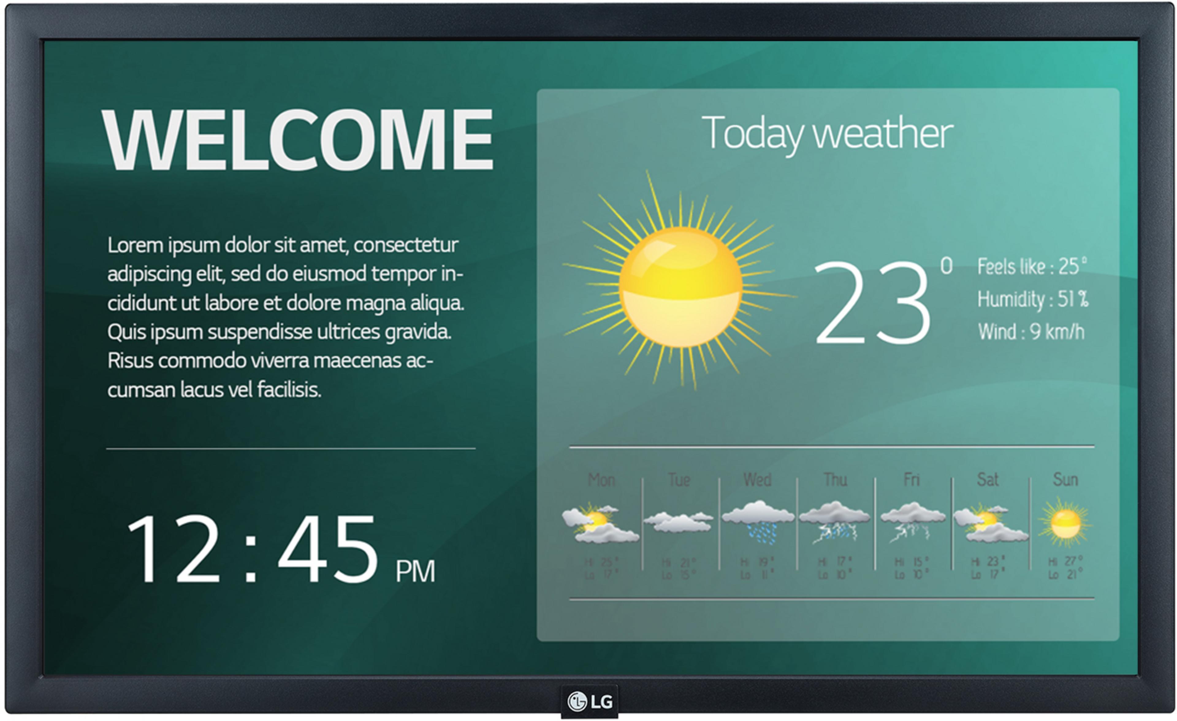 LG 22SM3G-B Signage Display